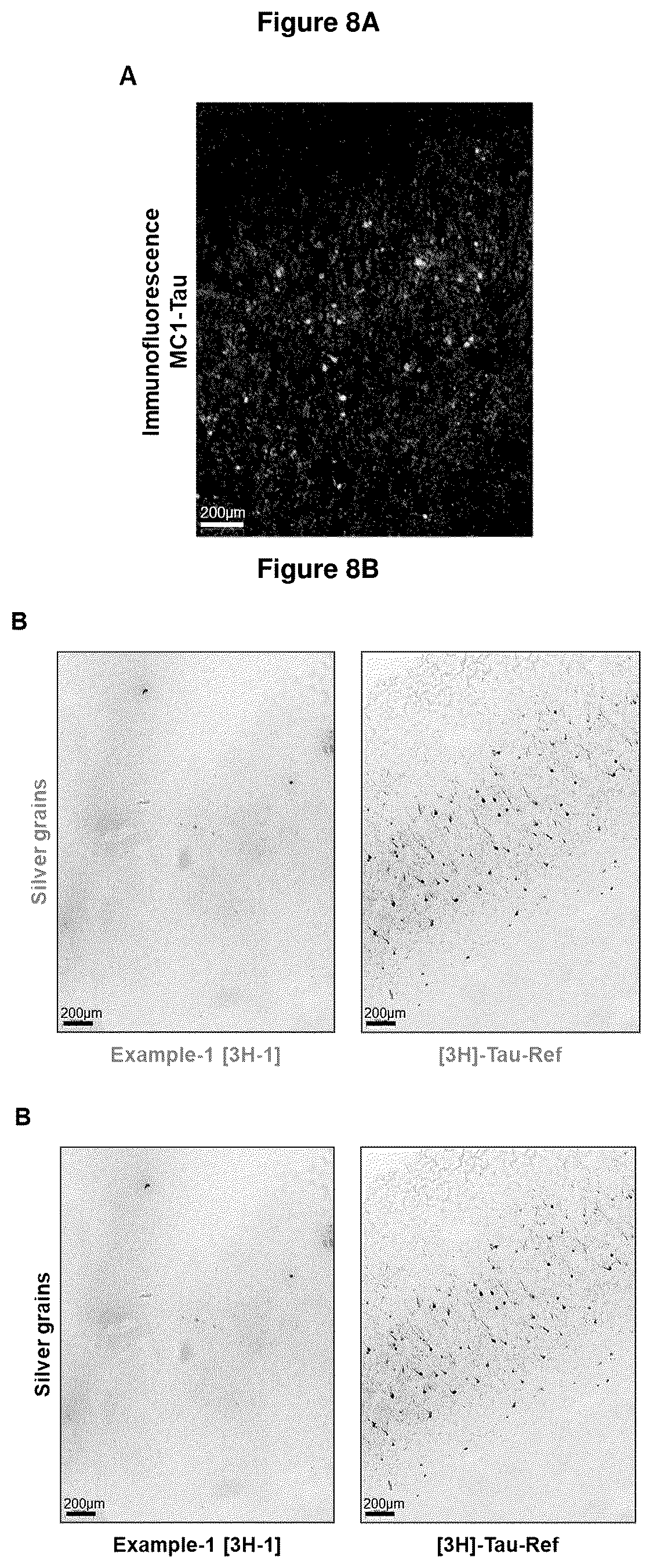 Patent US12552800 Figure 8 – Compounds for diagnosis