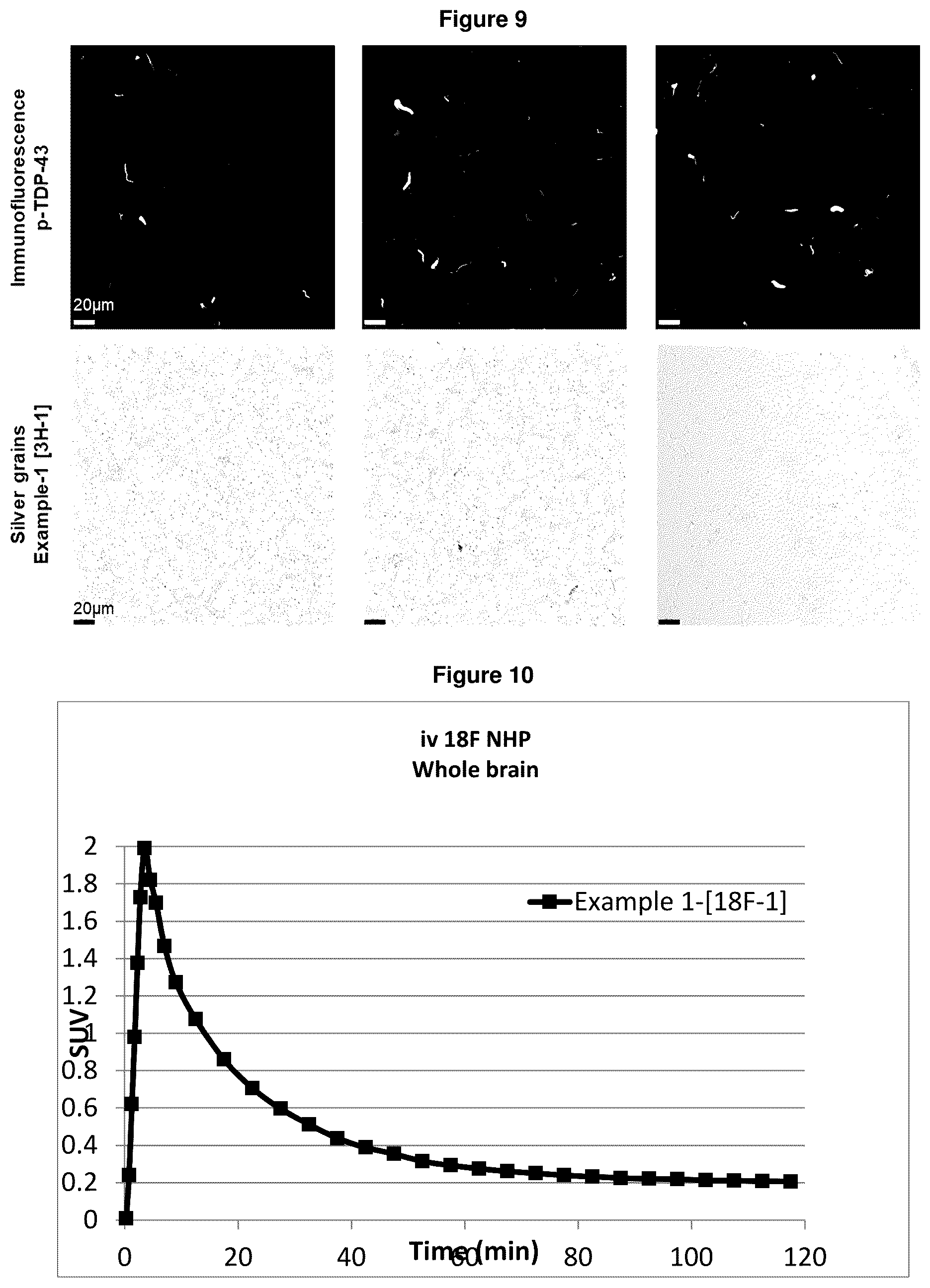 Patent US12552800 Figure 9 – Compounds for diagnosis