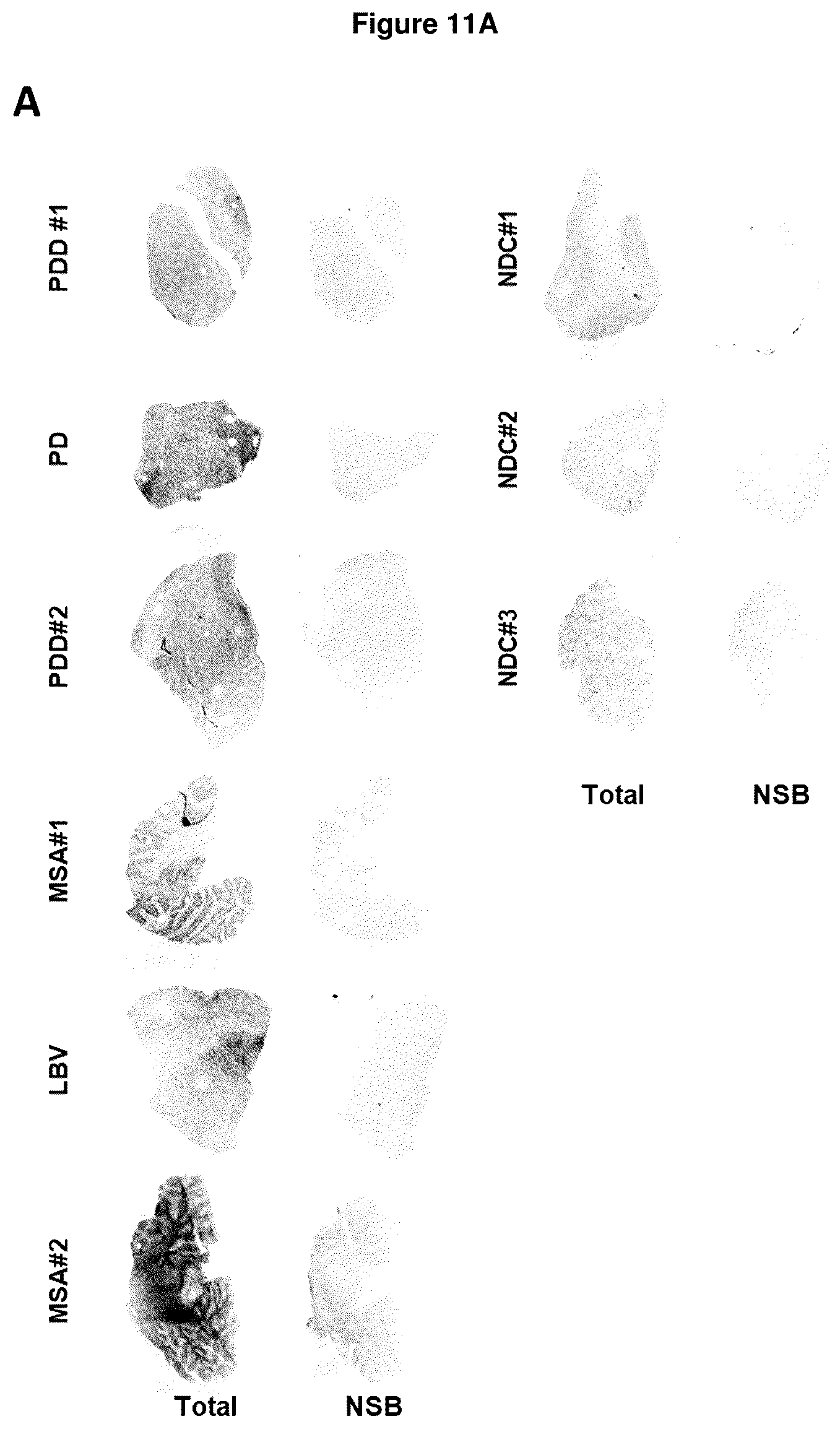 Patent US12552800 Figure 10 – Compounds for diagnosis