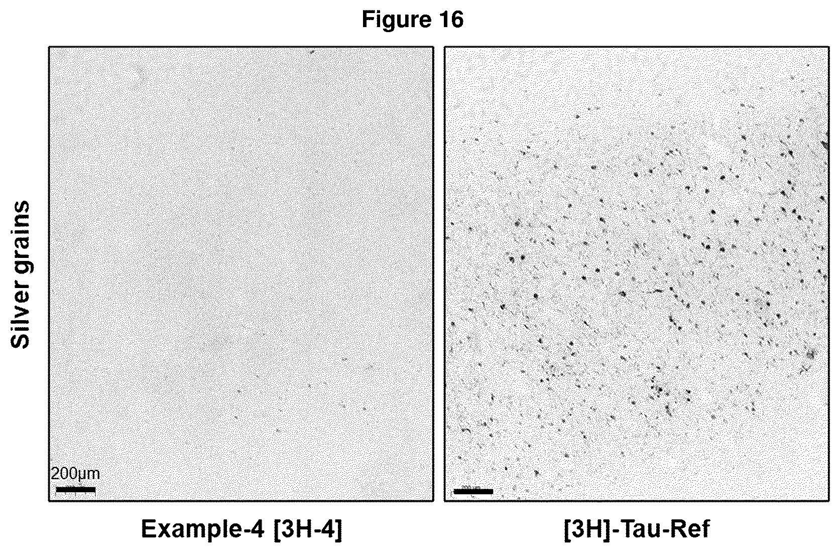 Patent US12552800 Figure 15 – Compounds for diagnosis