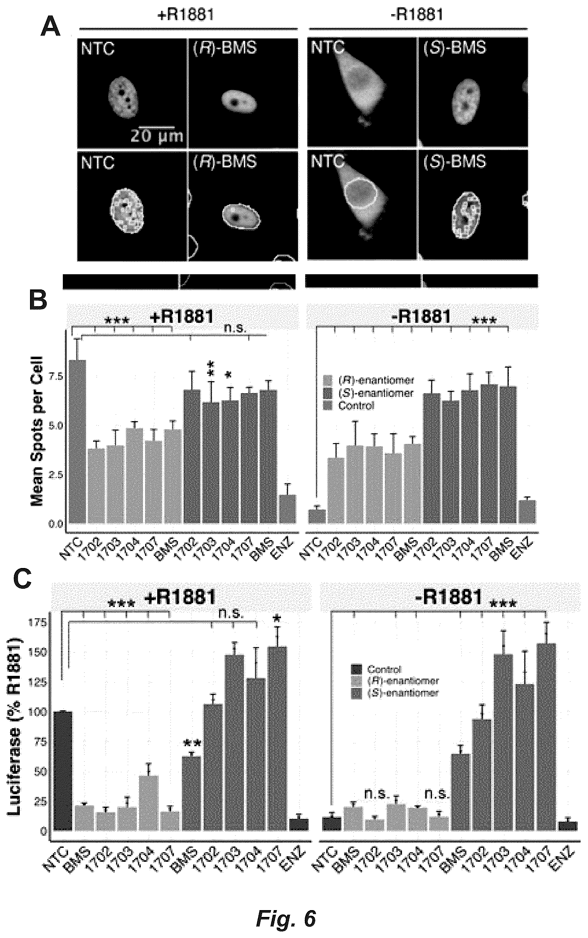Patent US12552806 Figure 8 – Androgen receptor regulation by small molecule enantiomers