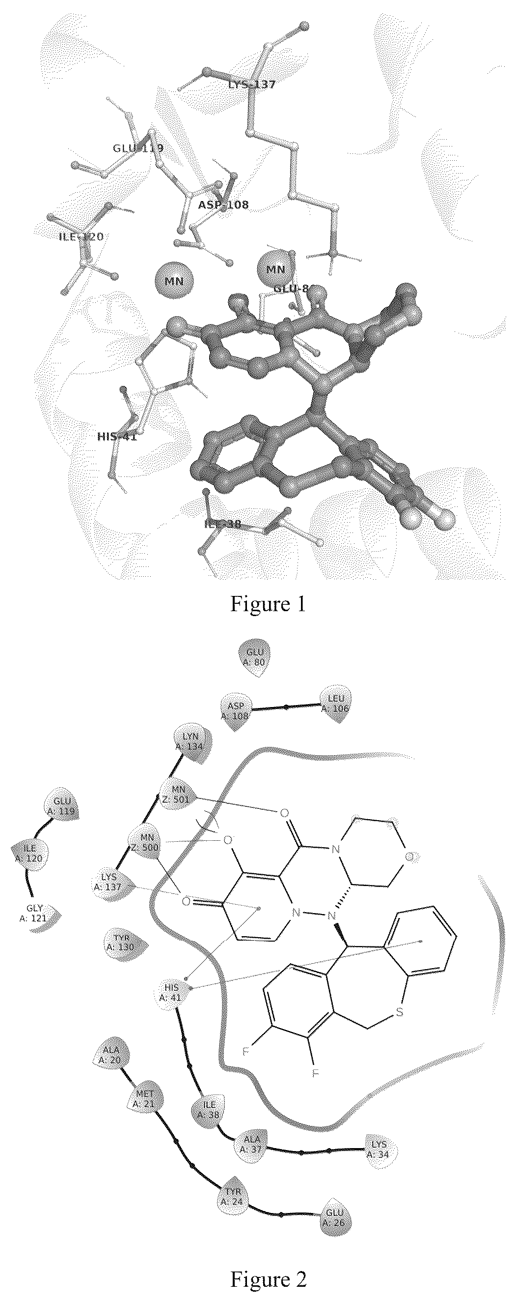 Patent US12552812 Figure 1 – Pyridone multiple-membered ring derivatives and use thereof