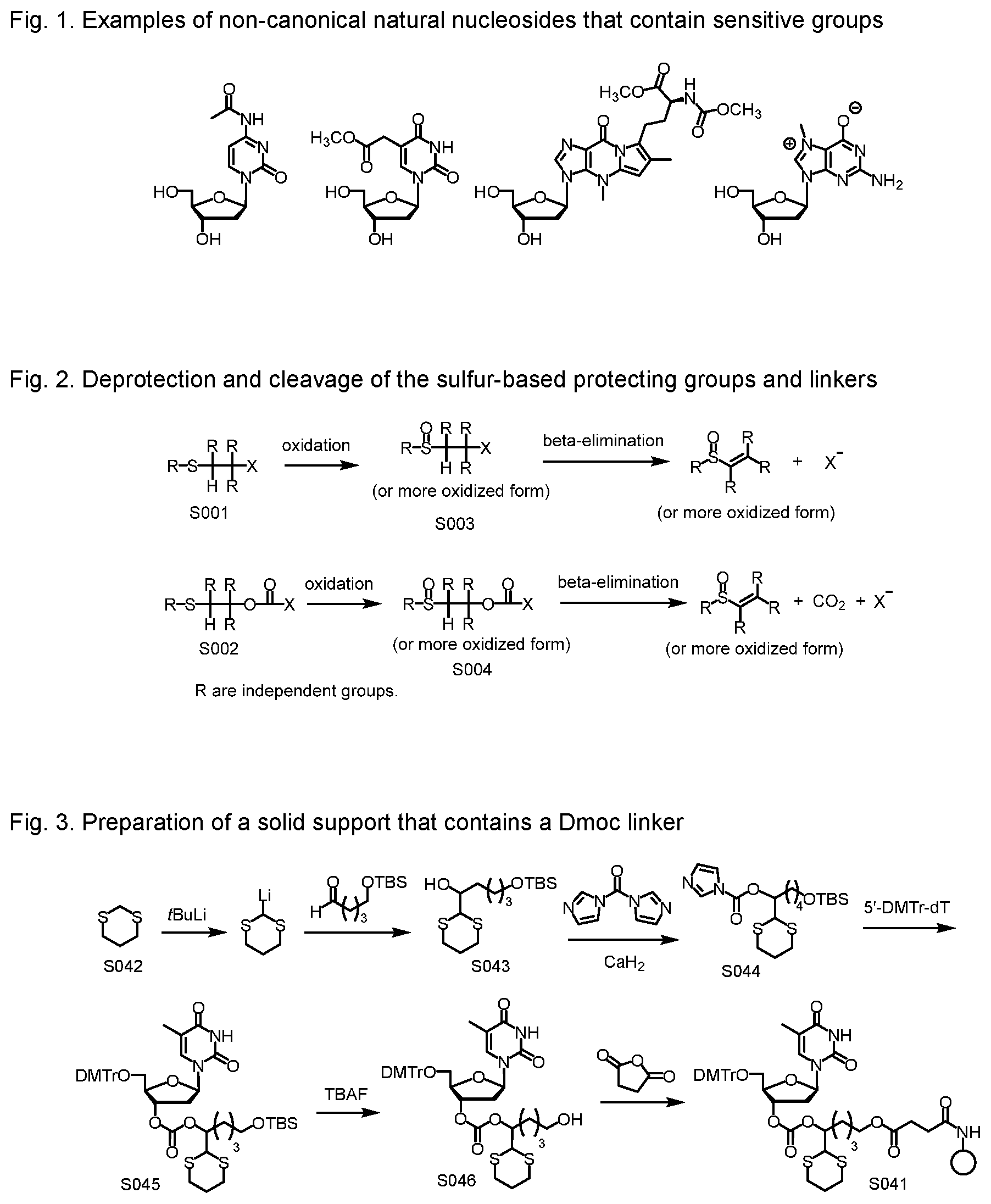 Patent US12552828 Figure 1 – Sensitive oligonucleotide synthesis using sulfur-based functions as protecting groups and linkers