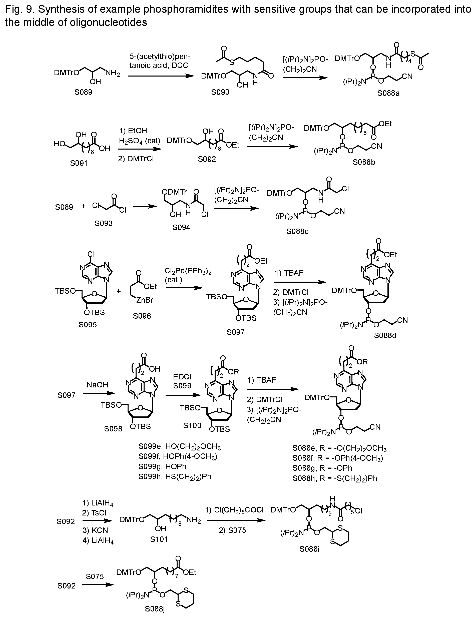 Patent US12552828 Figure 7 – Sensitive oligonucleotide synthesis using sulfur-based functions as protecting groups and linkers