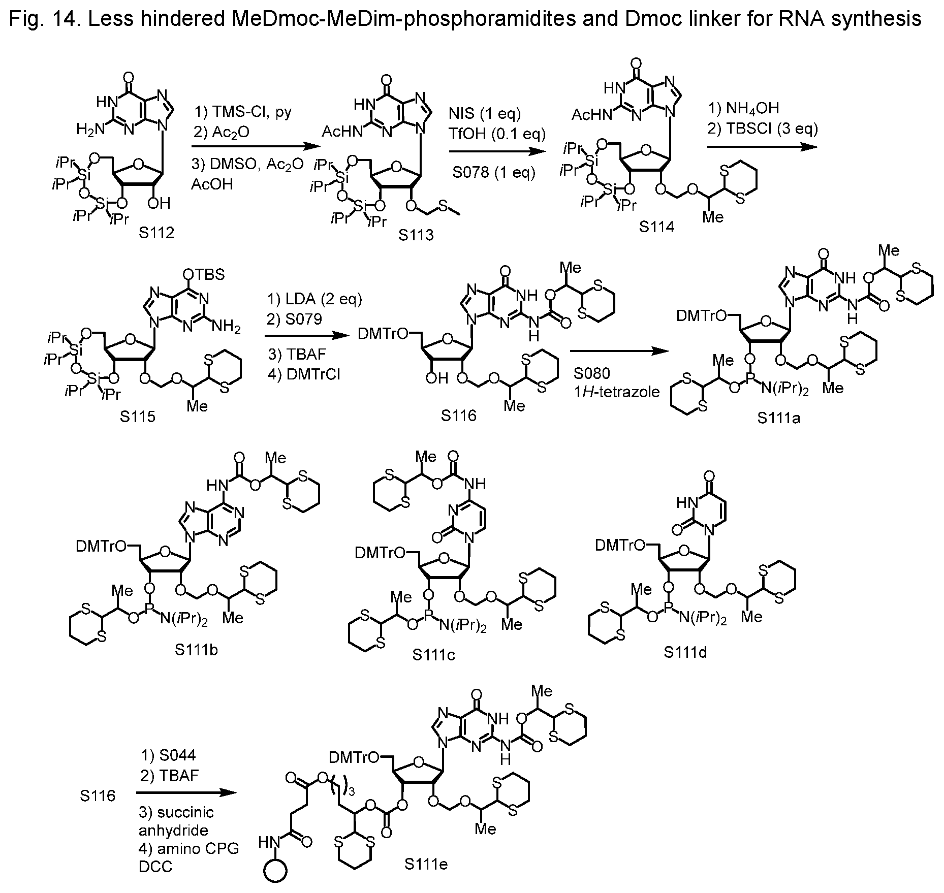 Patent US12552828 Figure 10 – Sensitive oligonucleotide synthesis using sulfur-based functions as protecting groups and linkers