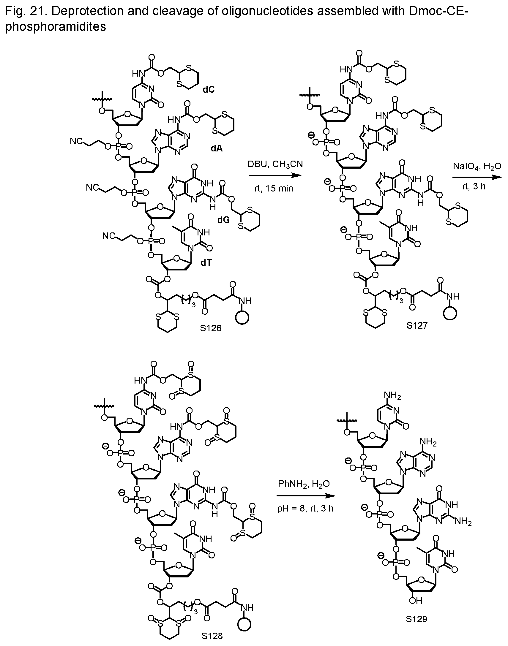 Patent US12552828 Figure 13 – Sensitive oligonucleotide synthesis using sulfur-based functions as protecting groups and linkers