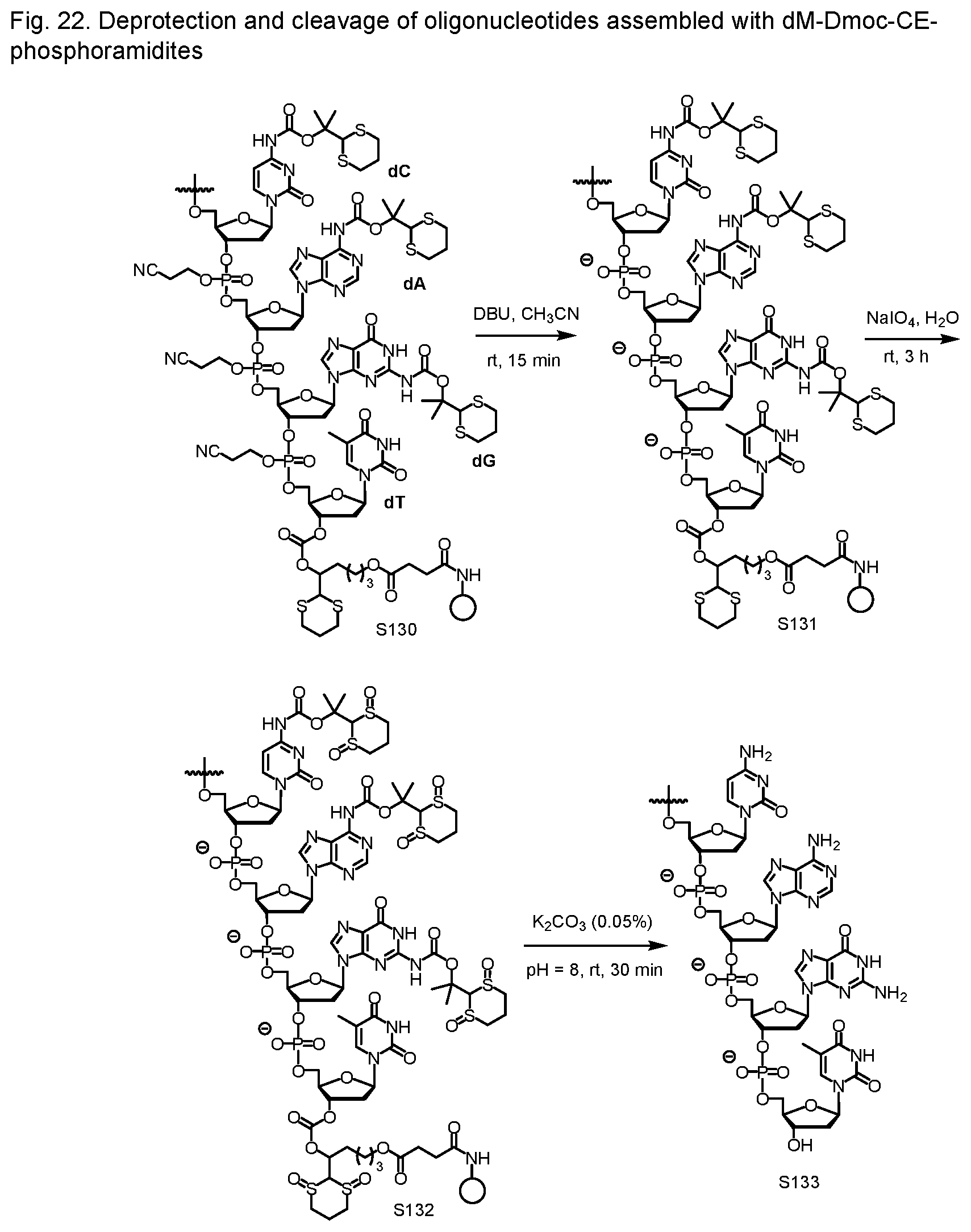 Patent US12552828 Figure 14 – Sensitive oligonucleotide synthesis using sulfur-based functions as protecting groups and linkers