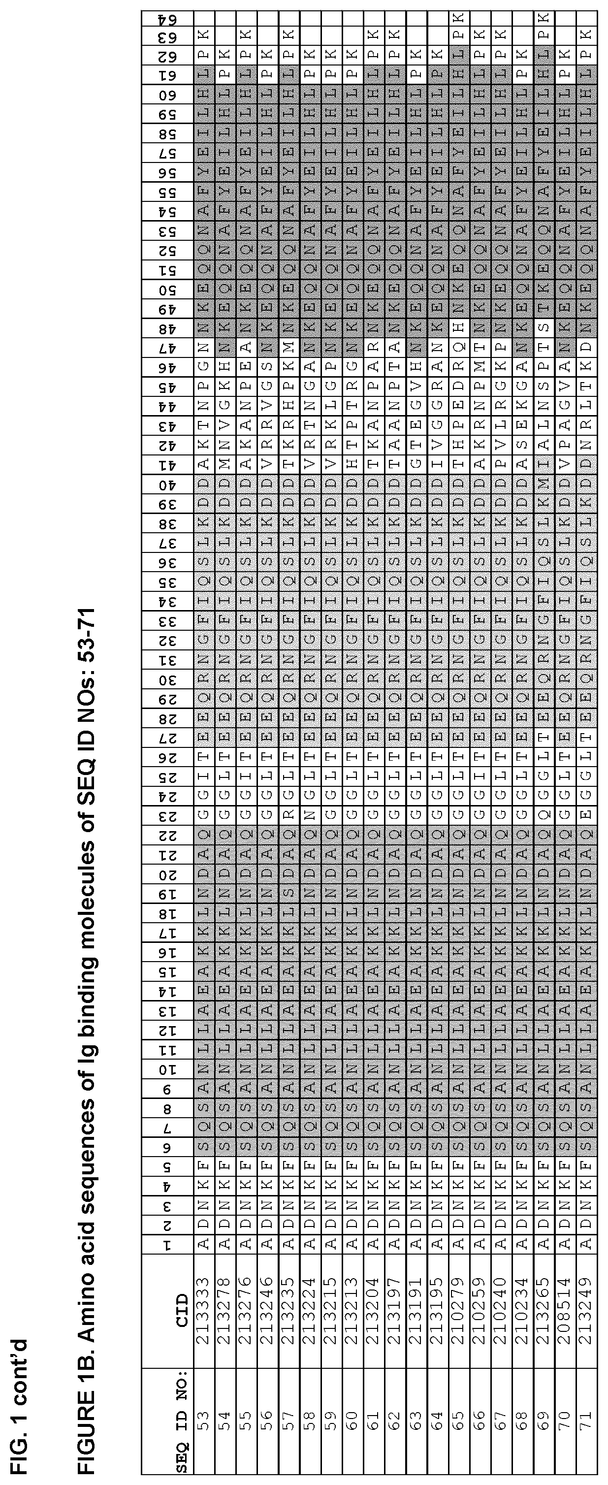 Patent US12552832 Figure 2 – Immunoglobulin binding polypeptides