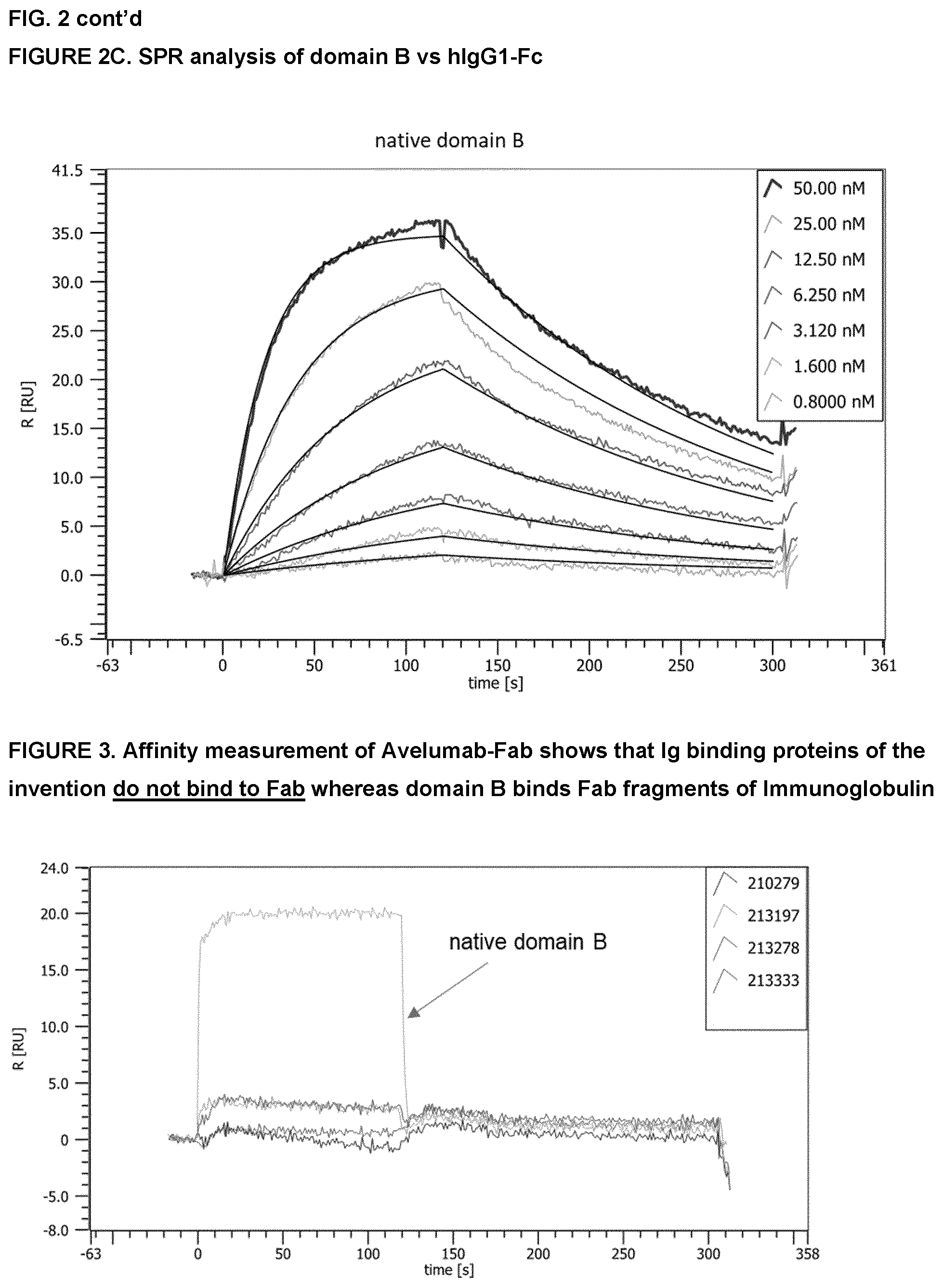 Patent US12552832 Figure 5 – Immunoglobulin binding polypeptides