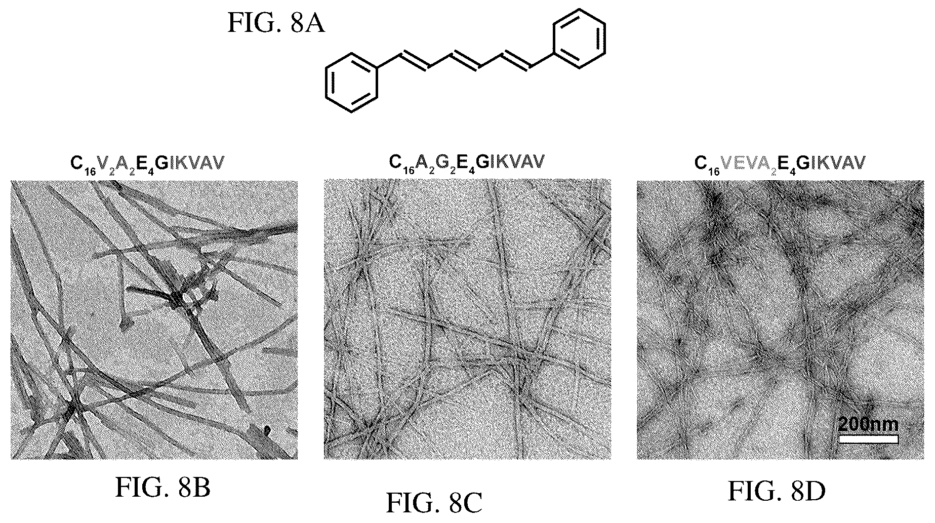 Patent US12552833 Figure 11 – Dynamics within supramolecuar IKVAV matrices enhance functional maturation of human IPSCS-derived neurons and regeneration
