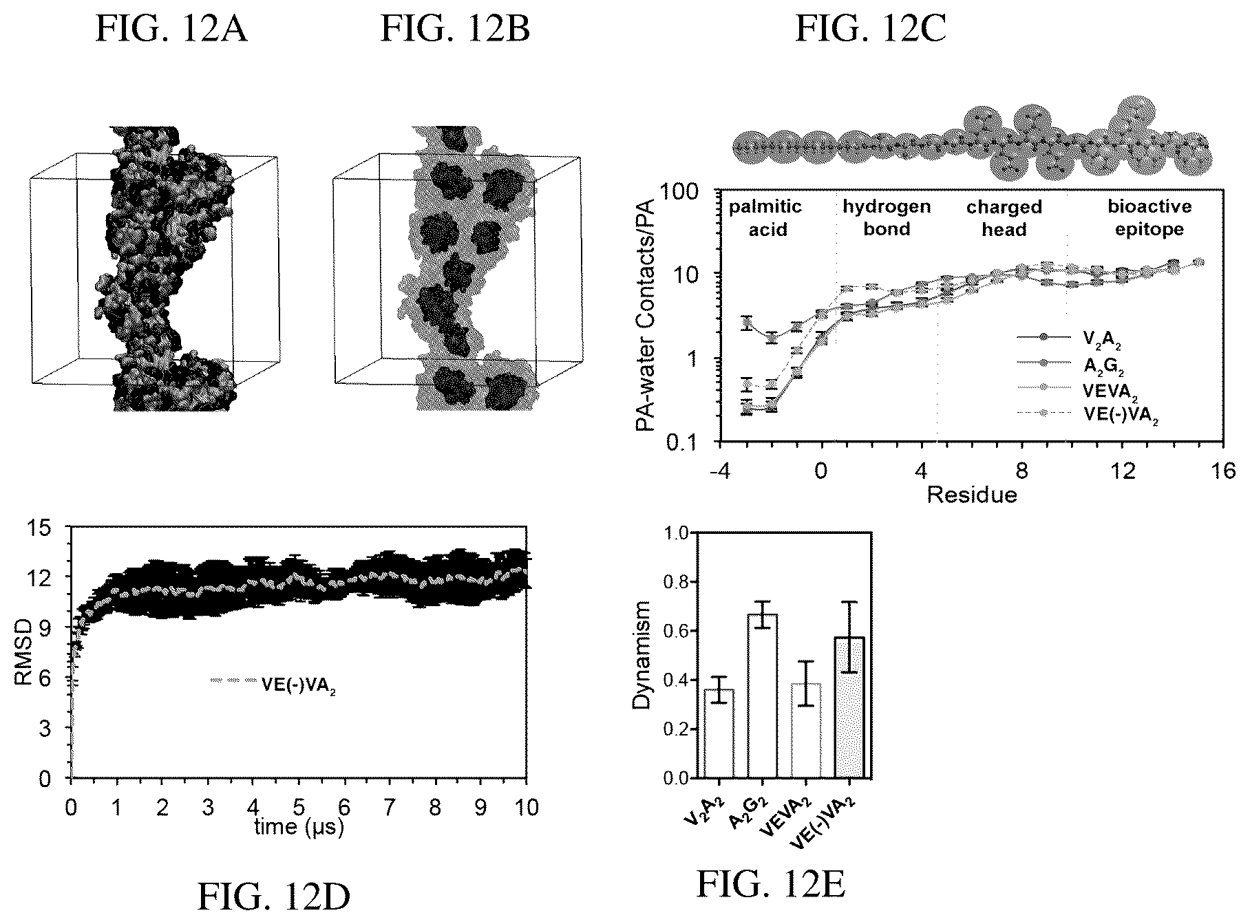 Patent US12552833 Figure 15 – Dynamics within supramolecuar IKVAV matrices enhance functional maturation of human IPSCS-derived neurons and regeneration
