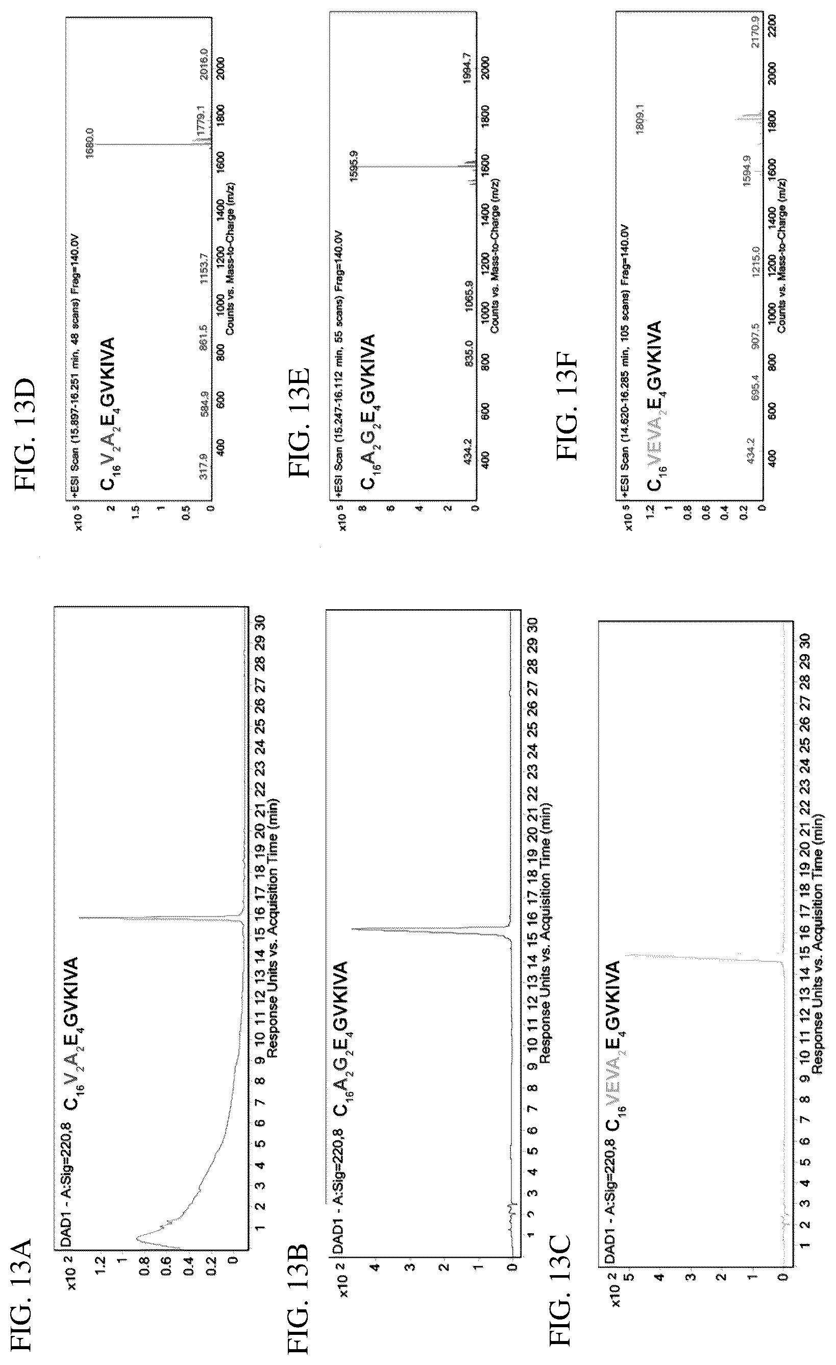 Patent US12552833 Figure 16 – Dynamics within supramolecuar IKVAV matrices enhance functional maturation of human IPSCS-derived neurons and regeneration