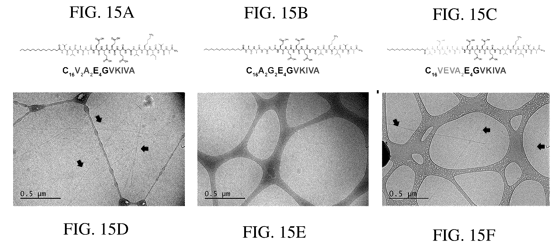 Patent US12552833 Figure 18 – Dynamics within supramolecuar IKVAV matrices enhance functional maturation of human IPSCS-derived neurons and regeneration