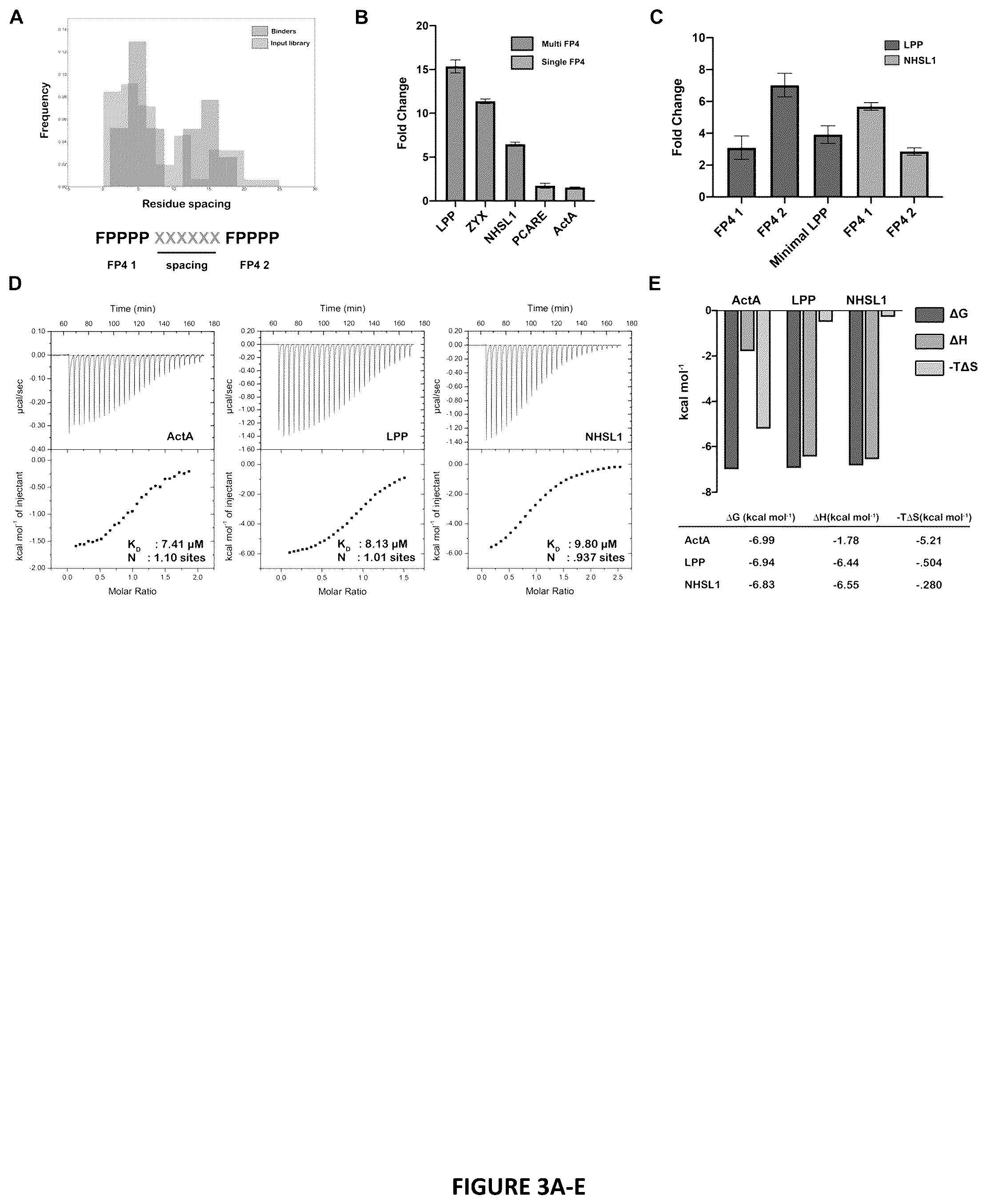 Patent US12552834 Figure 3 – Selective MENA binding peptides