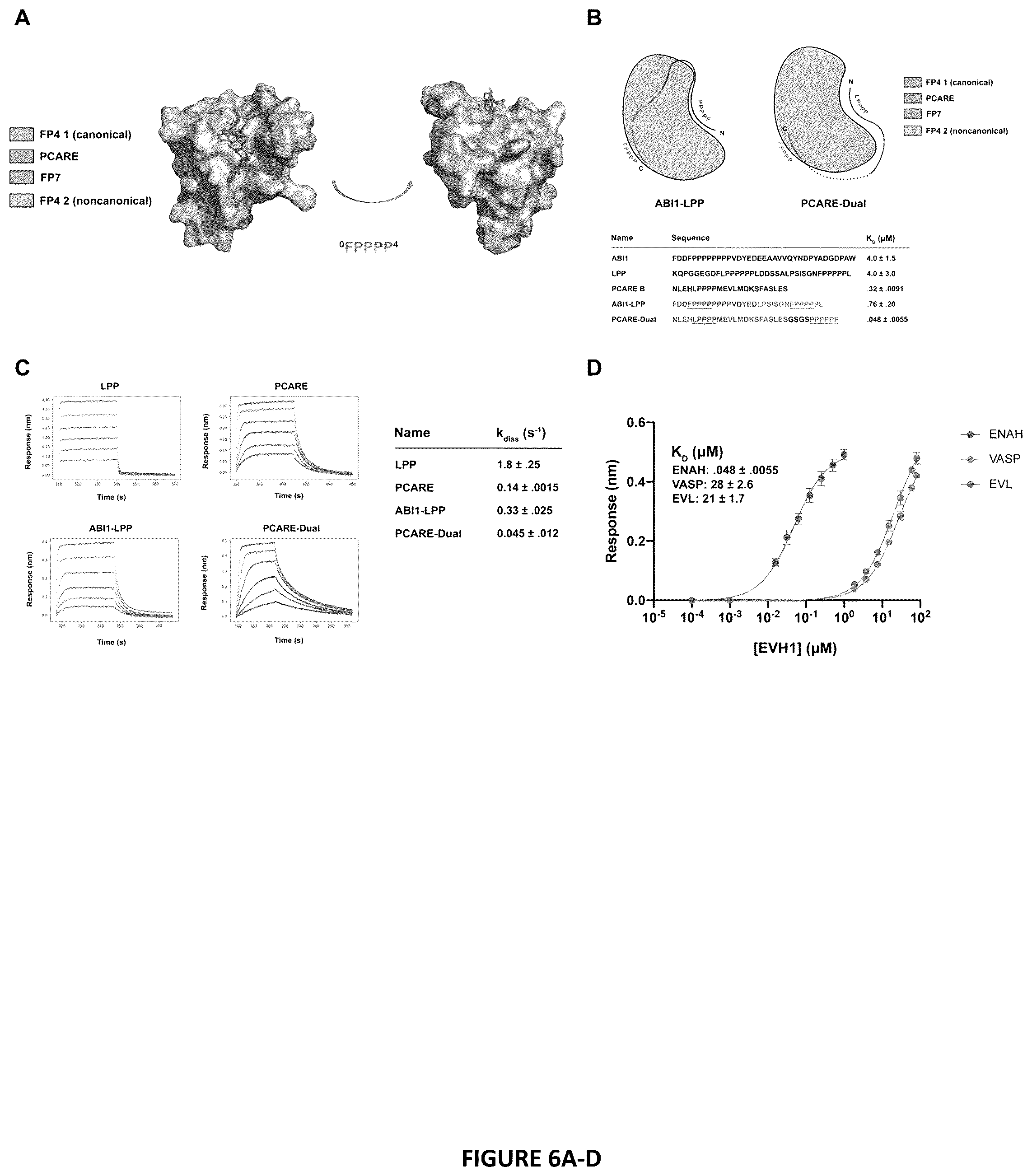 Patent US12552834 Figure 6 – Selective MENA binding peptides