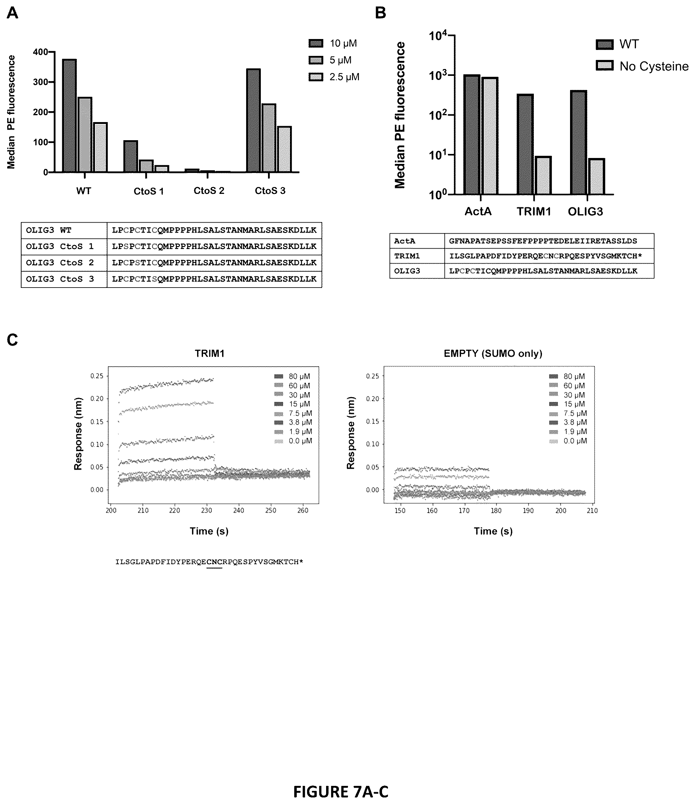Patent US12552834 Figure 7 – Selective MENA binding peptides