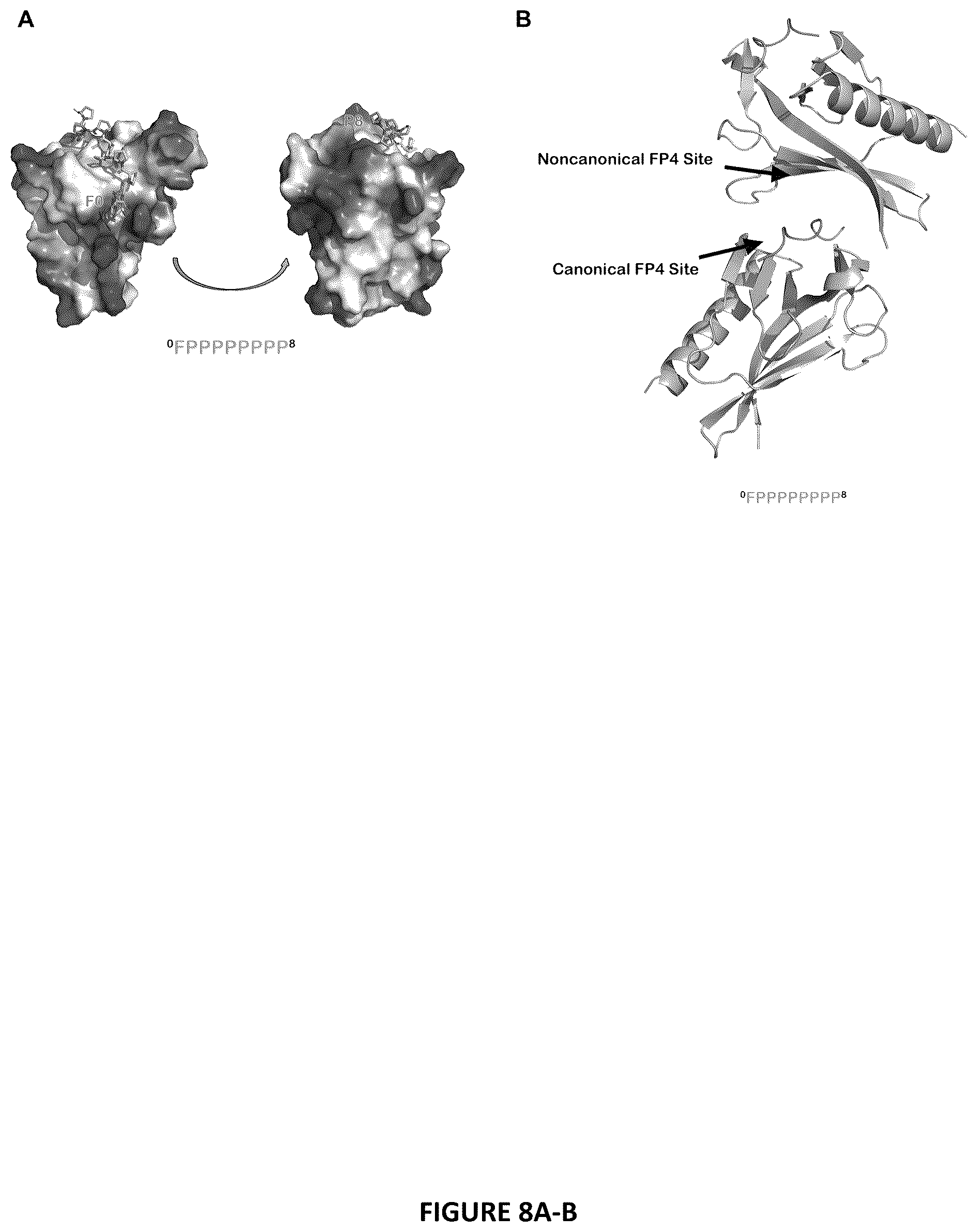 Patent US12552834 Figure 8 – Selective MENA binding peptides