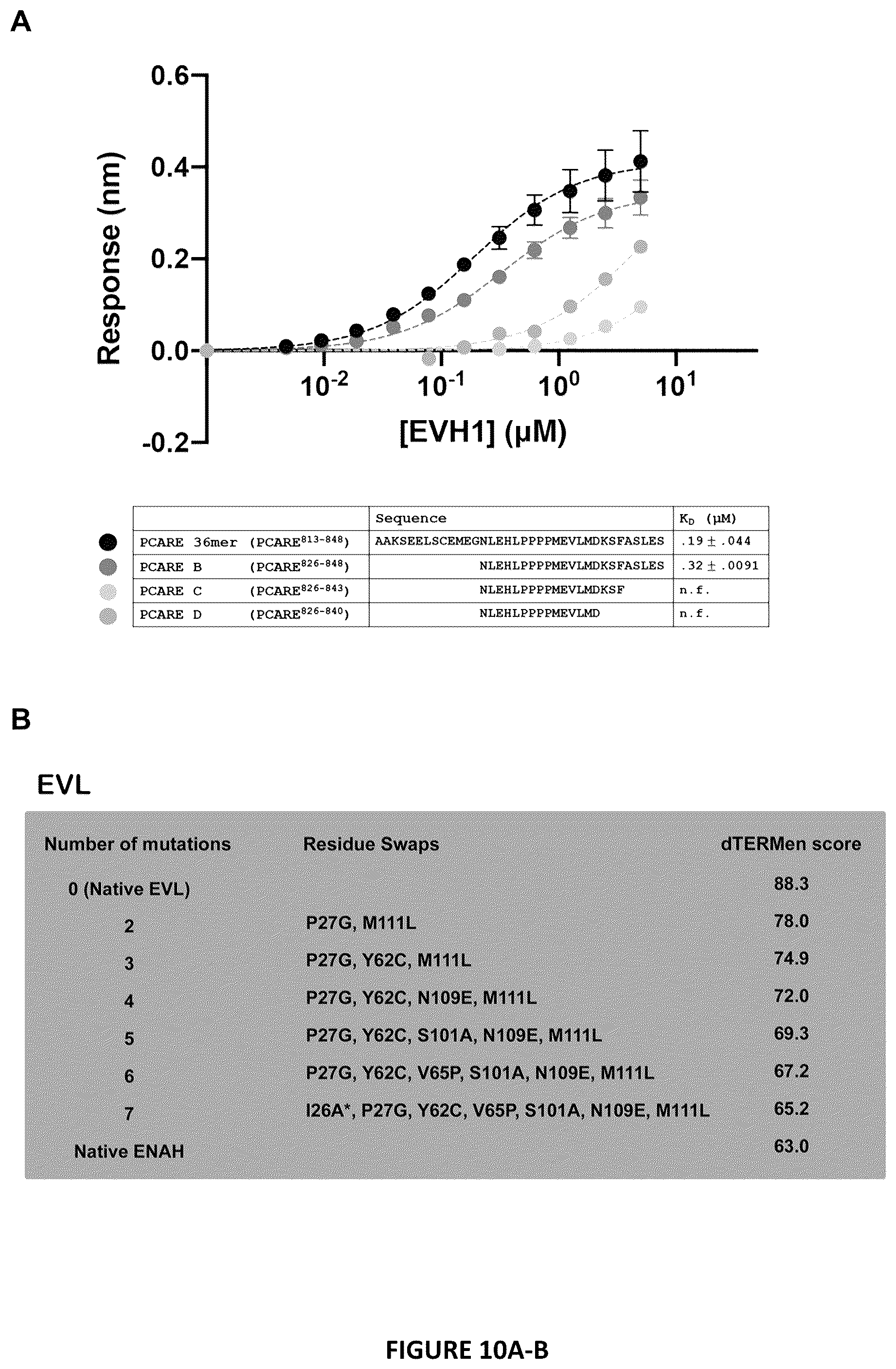 Patent US12552834 Figure 10 – Selective MENA binding peptides