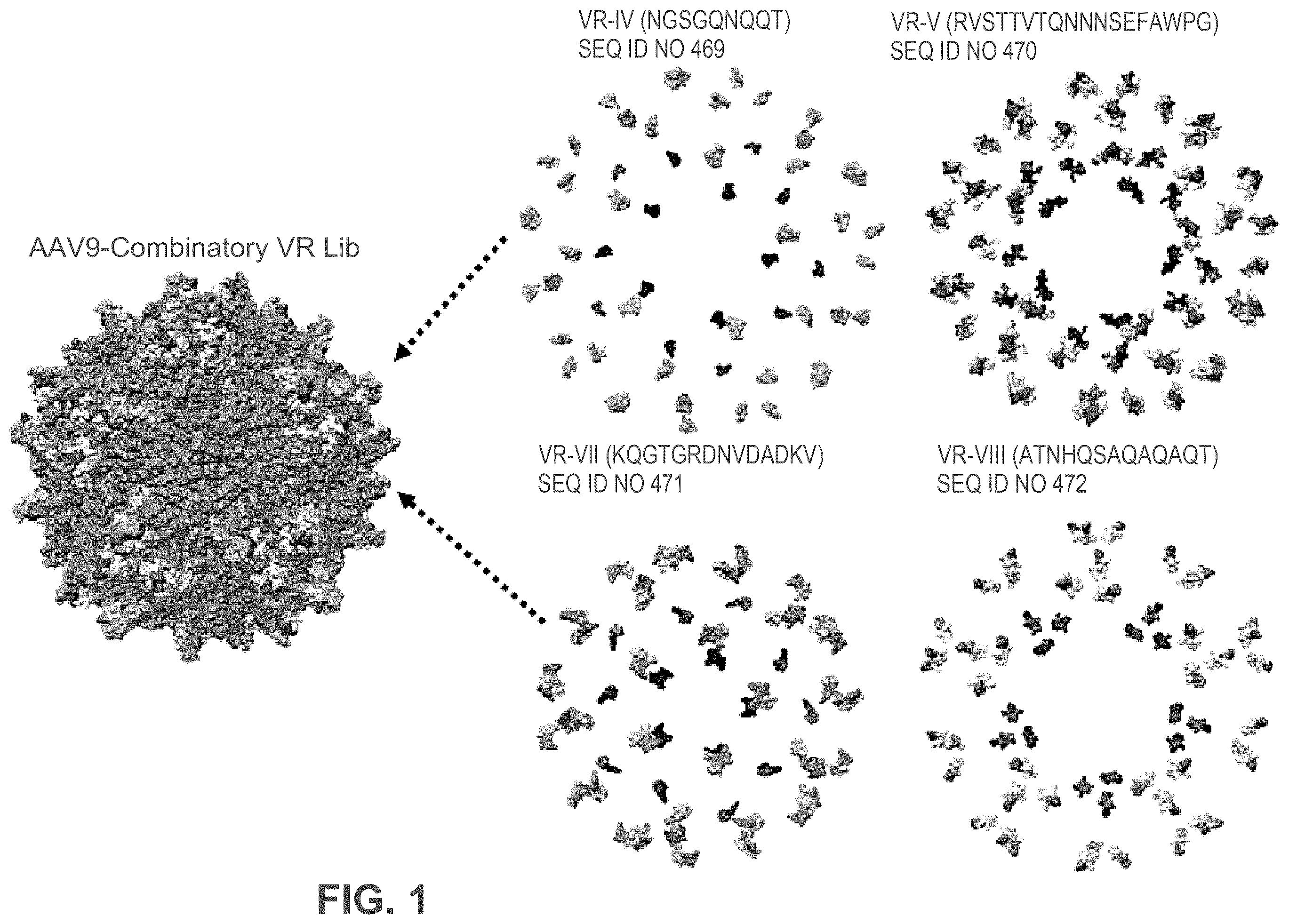 Patent US12552838 Figure 1 – Adeno-associated virus with engineered capsid
