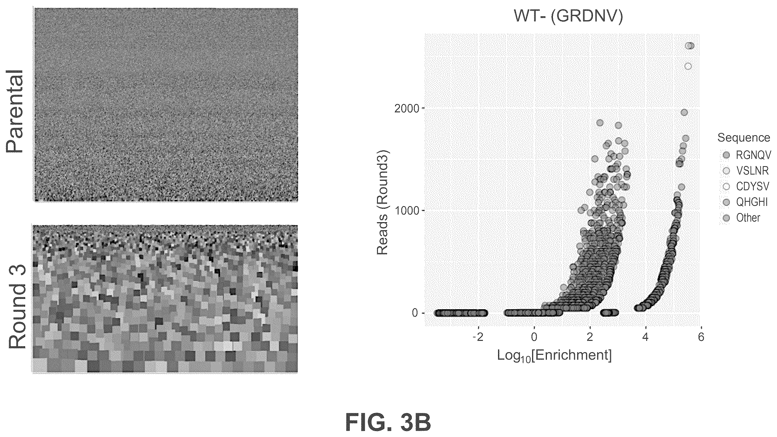 Patent US12552838 Figure 4 – Adeno-associated virus with engineered capsid