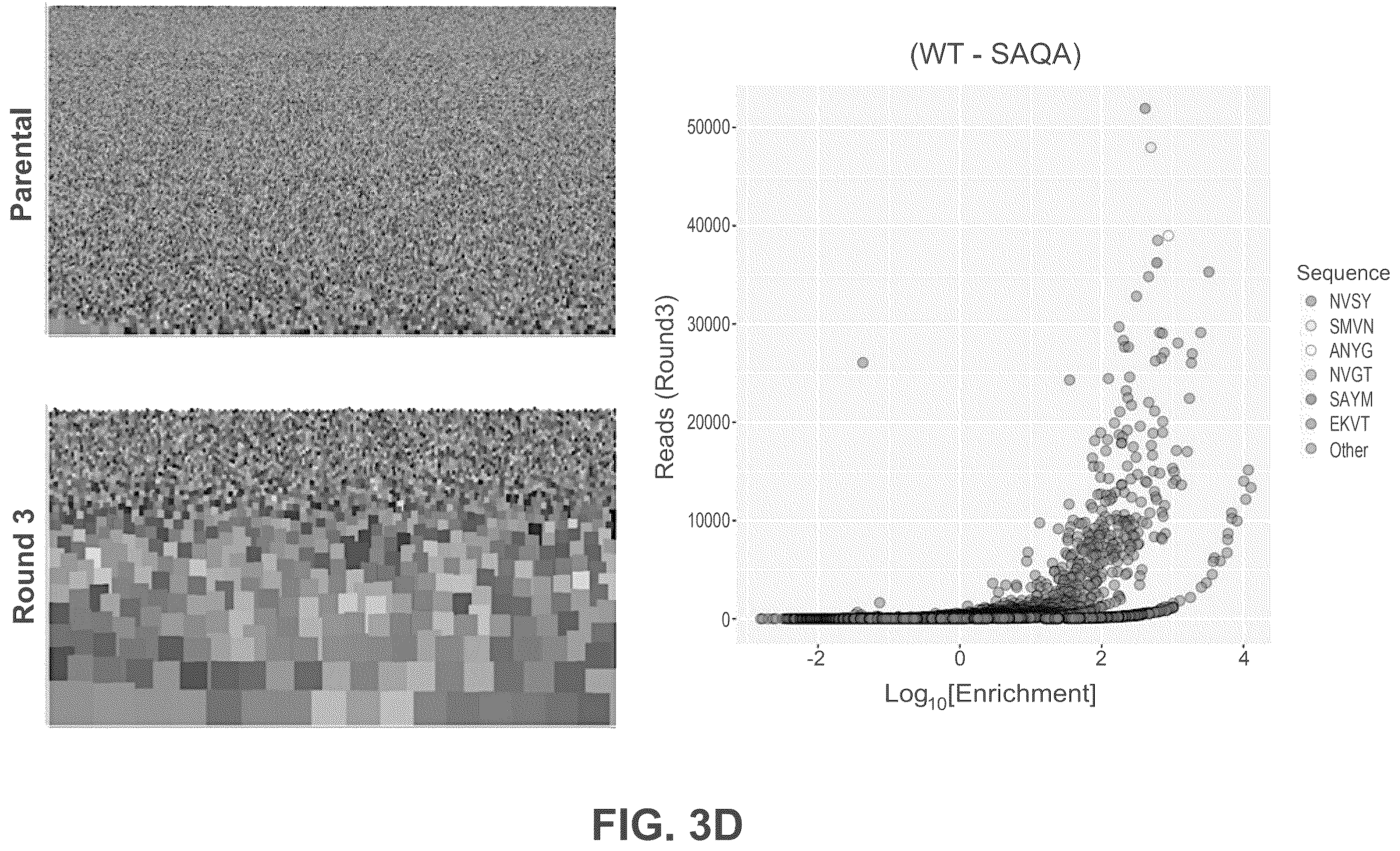 Patent US12552838 Figure 6 – Adeno-associated virus with engineered capsid