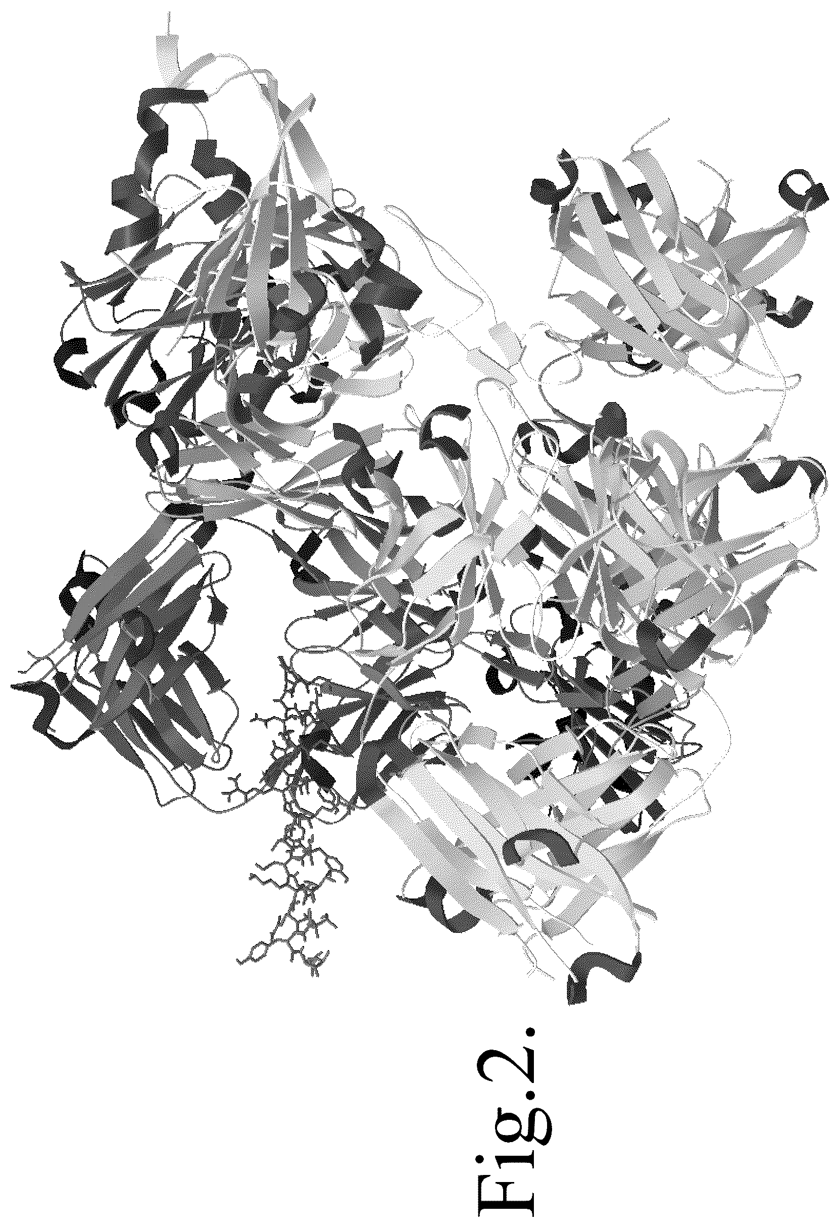 Patent US12552840 Figure 2 – Identification of inhibitor peptides to bind with n-terminal spike (s) and nonstructural protein (NSP) sequences of SARS-COV2 b.1.617.2 Delta or Omicron variants alone and combination with drug(s) for targeted antiviral therapy