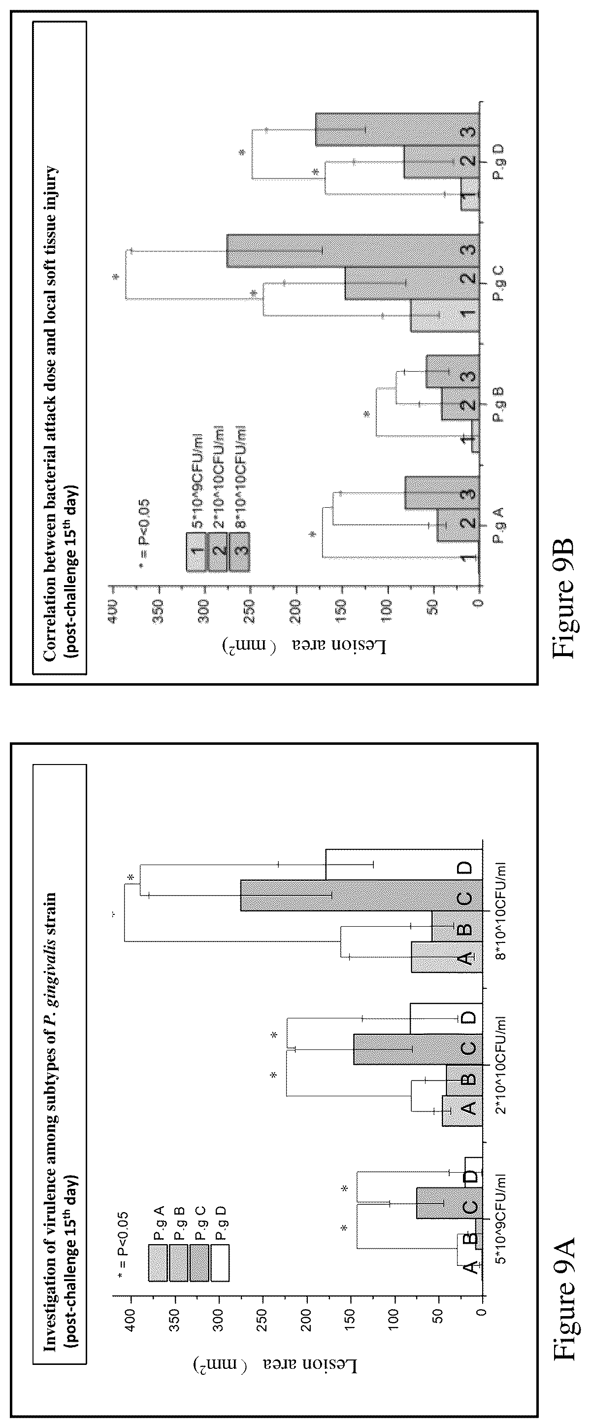Patent US12552841 Figure 9 – CRA4S1 gene, encoded CRA4S1 protein, and application