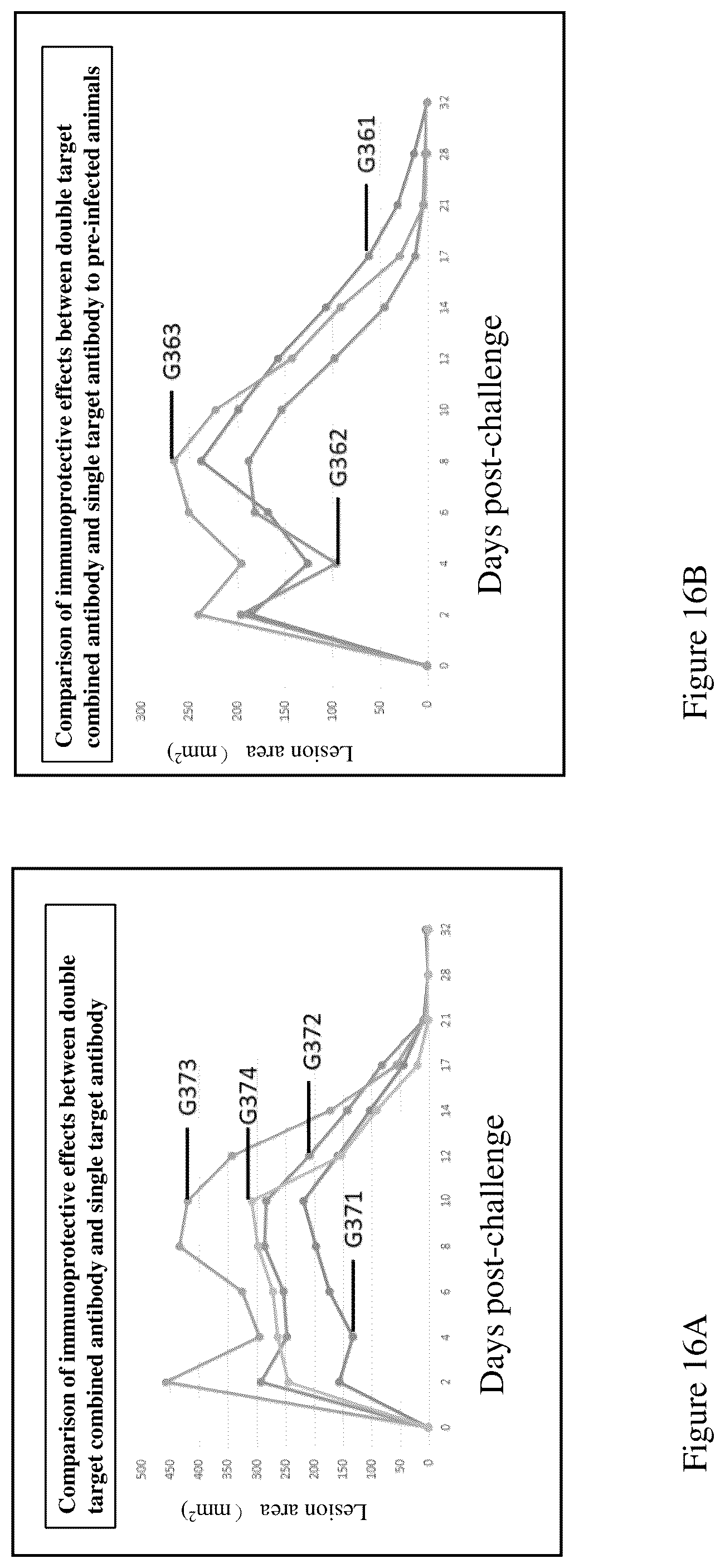 Patent US12552841 Figure 16 – CRA4S1 gene, encoded CRA4S1 protein, and application