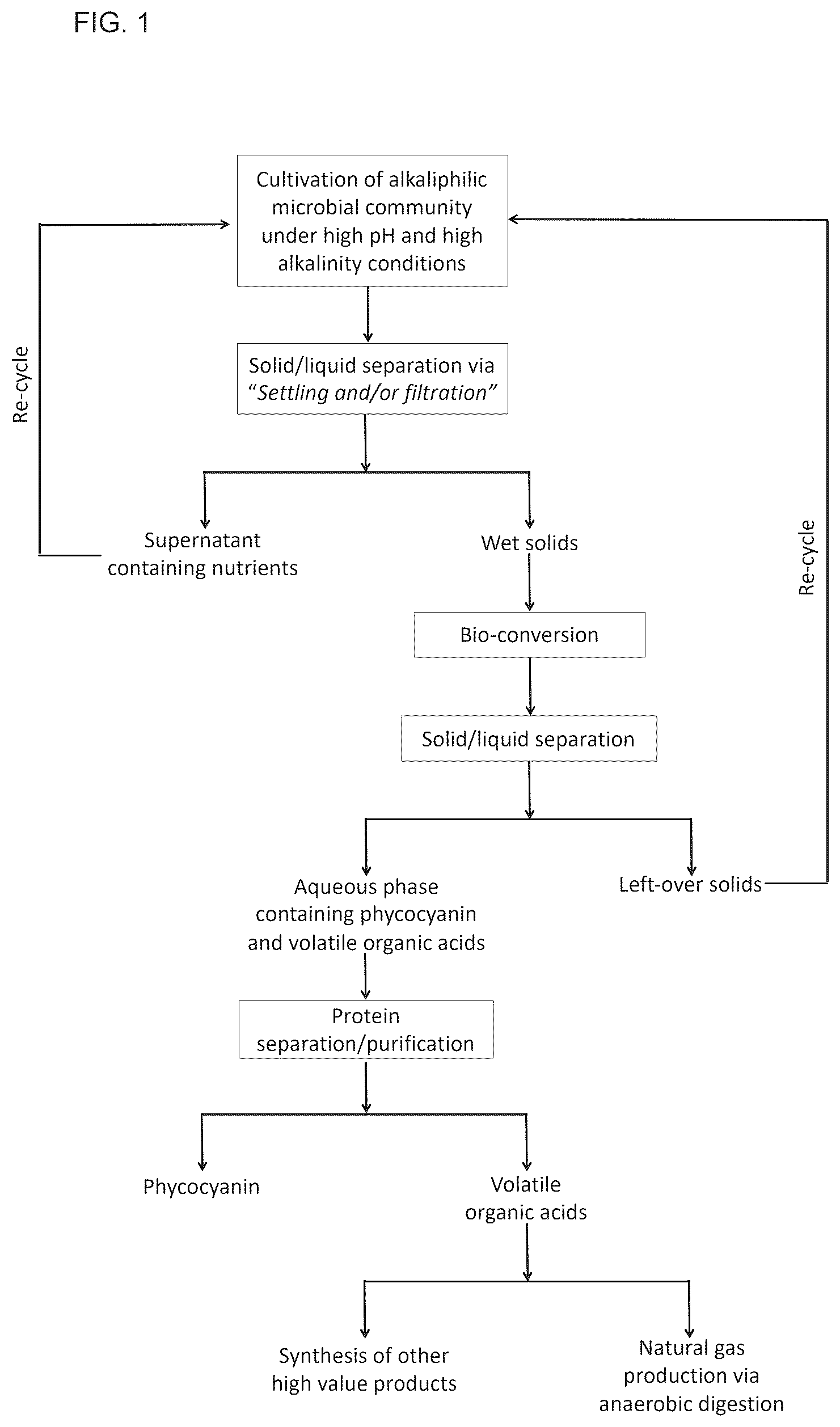 Patent US12552842 Figure 1 – Alkaliphilic consortium shifting for production of phycocyanins and biochemicals