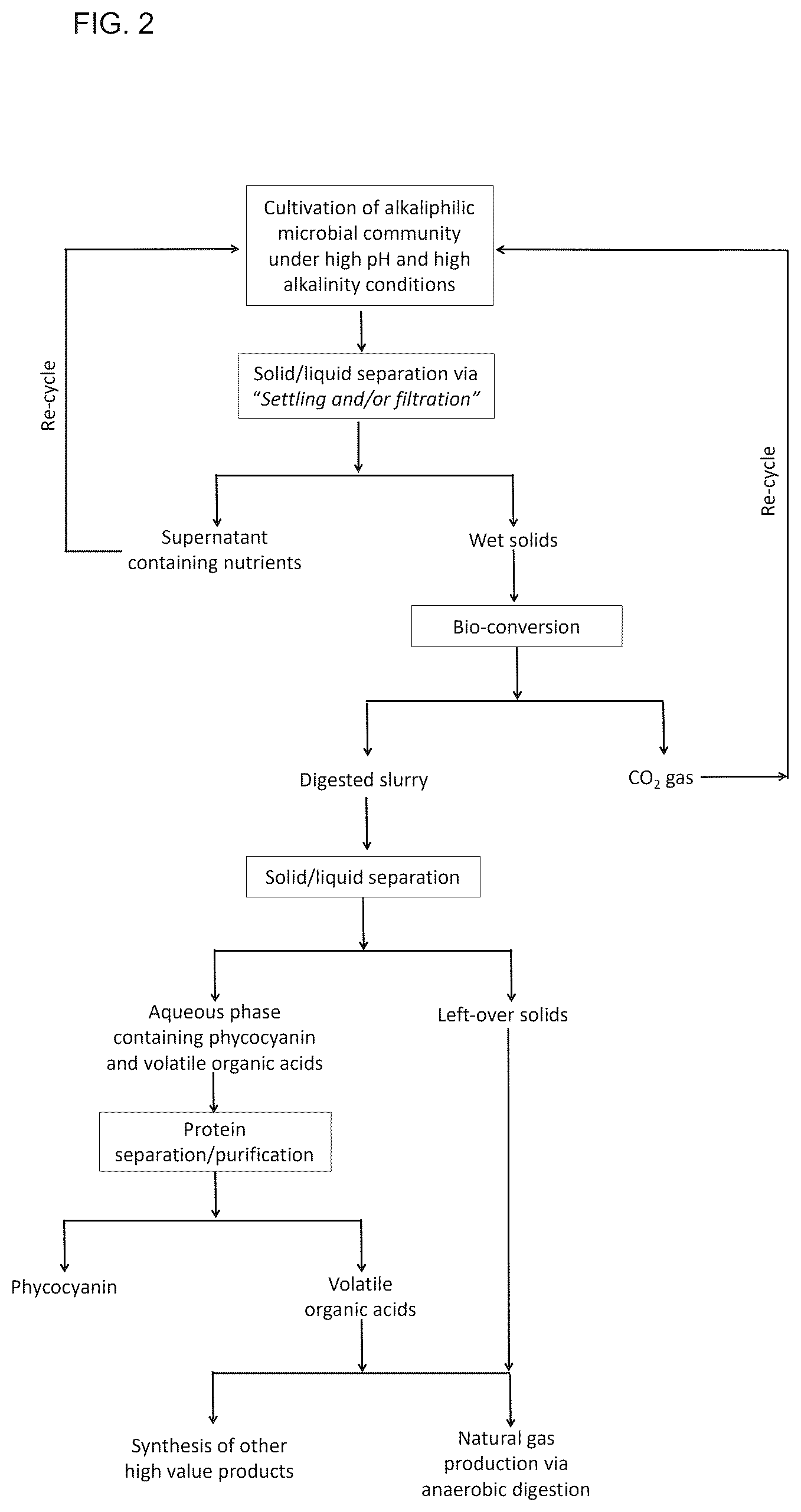 Patent US12552842 Figure 2 – Alkaliphilic consortium shifting for production of phycocyanins and biochemicals