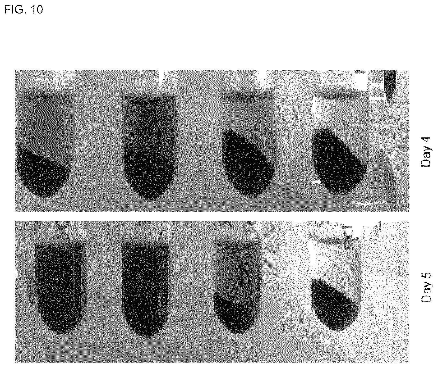 Patent US12552842 Figure 7 – Alkaliphilic consortium shifting for production of phycocyanins and biochemicals