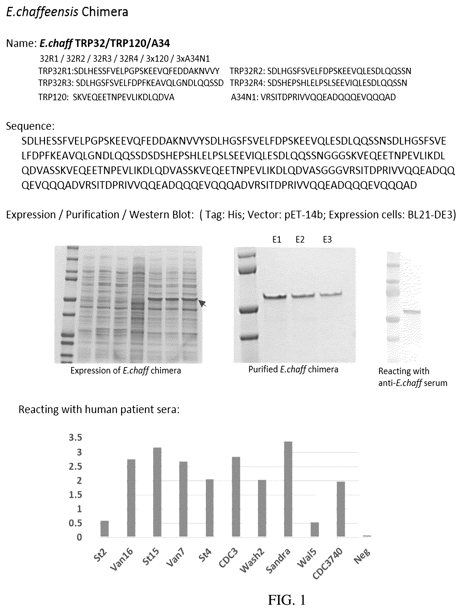 Patent US12552843 Figure 1 – Chimeric immunogenic polypeptides