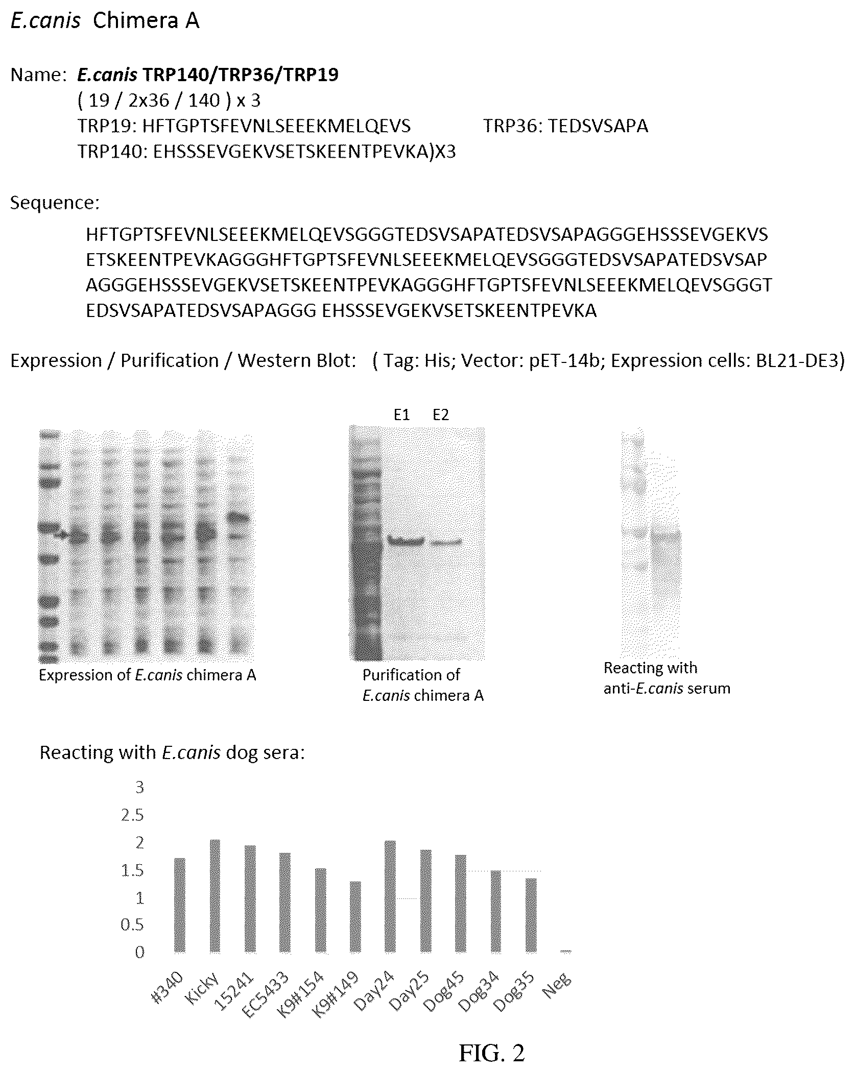 Patent US12552843 Figure 2 – Chimeric immunogenic polypeptides