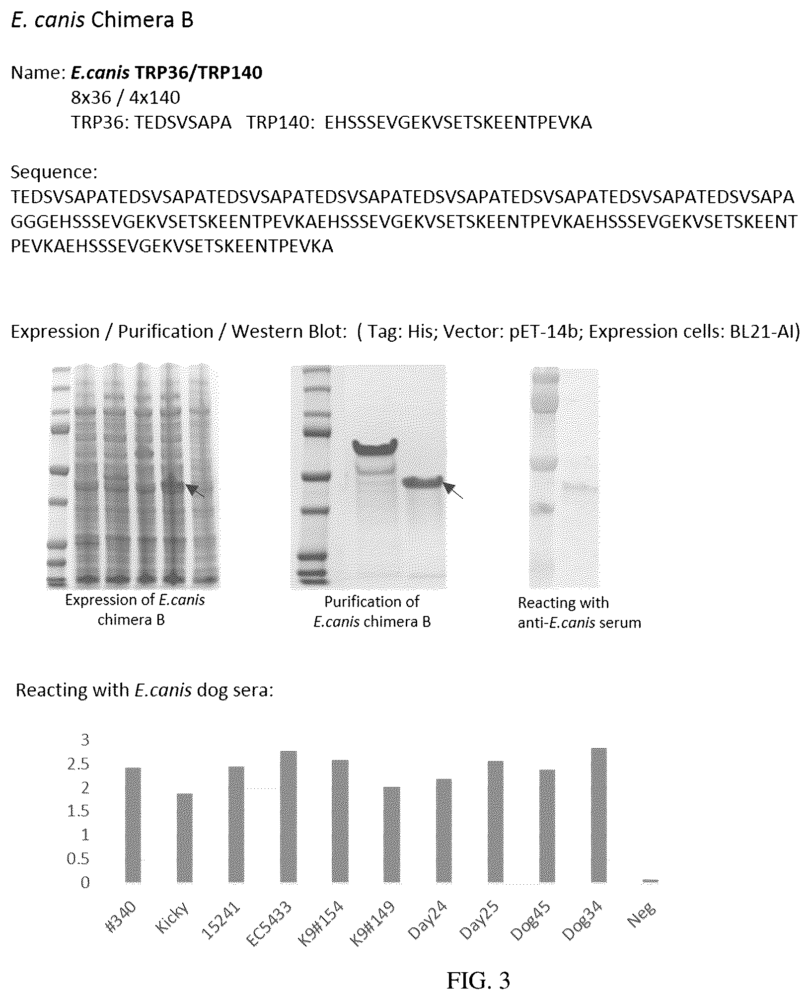 Patent US12552843 Figure 3 – Chimeric immunogenic polypeptides