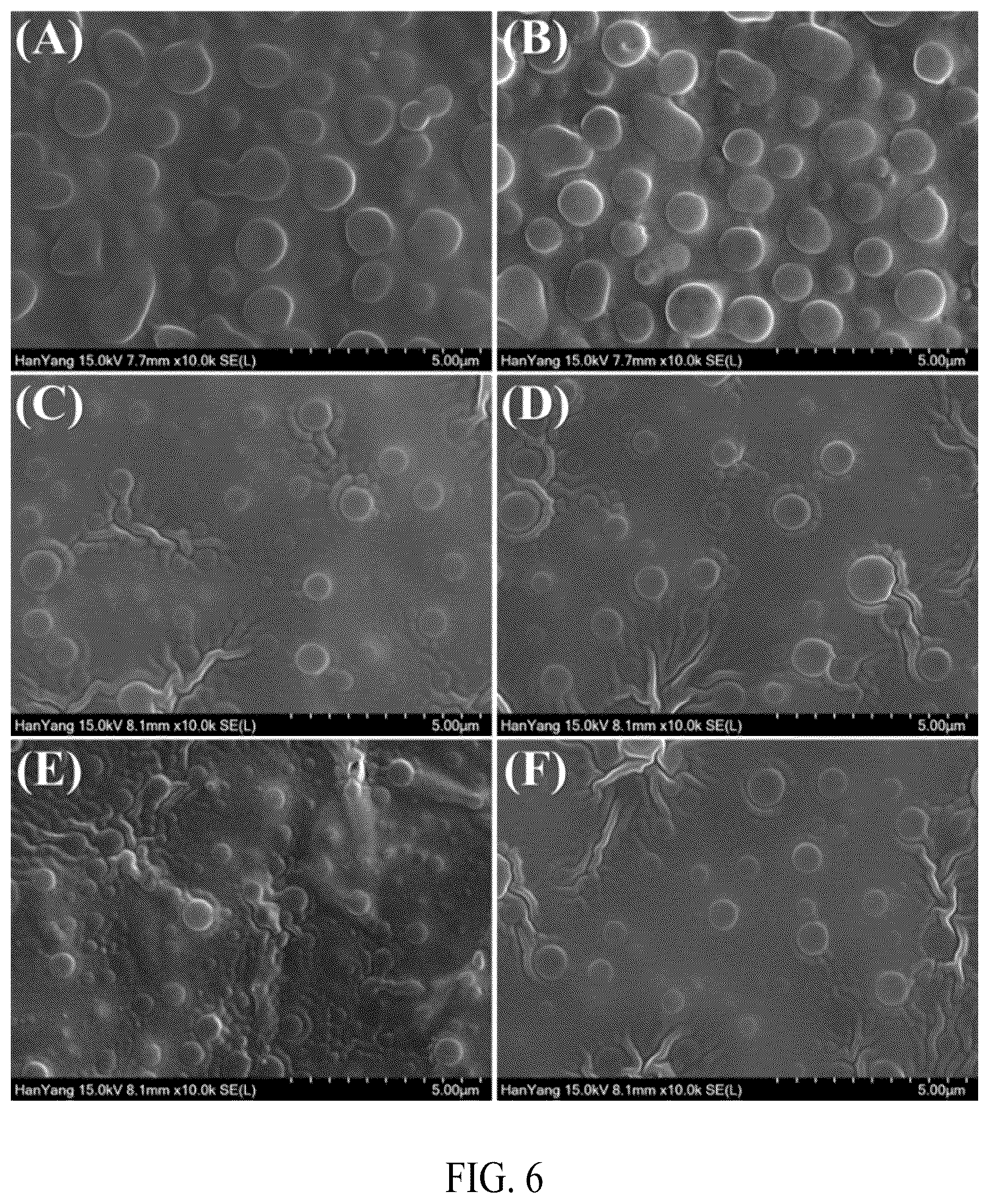Patent US12552845 Figure 7 – Adhesive elastin and suckerin-based multiblock copolypeptide with stimulus responsiveness and surface adhesion, self-assembled structure thereof, and application of injectable hydrogel as bioadhesive