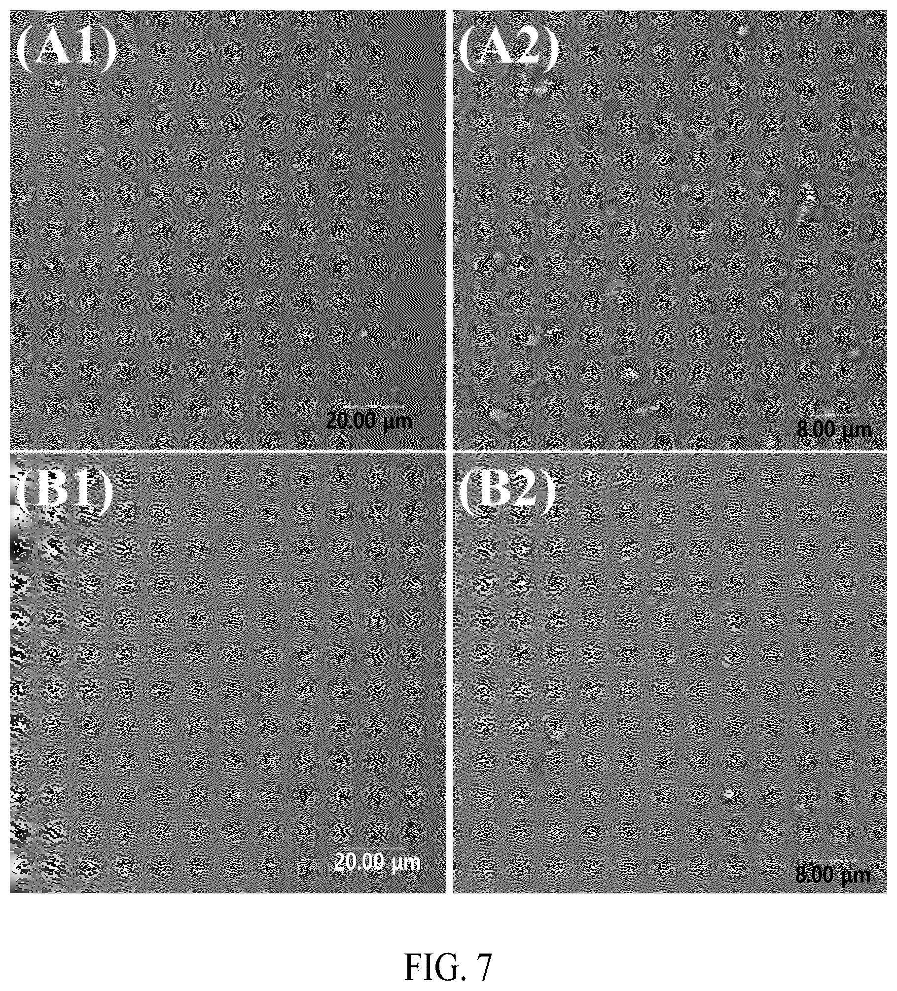 Patent US12552845 Figure 8 – Adhesive elastin and suckerin-based multiblock copolypeptide with stimulus responsiveness and surface adhesion, self-assembled structure thereof, and application of injectable hydrogel as bioadhesive