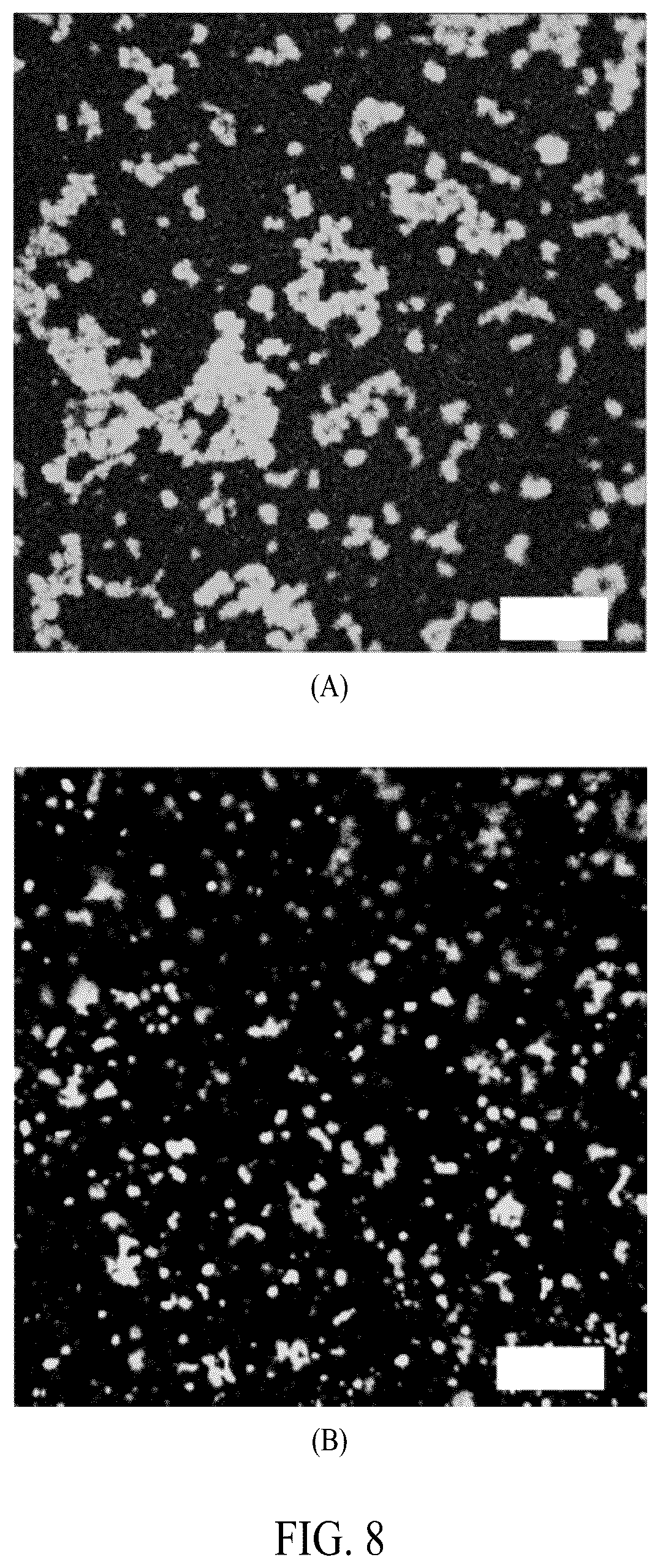 Patent US12552845 Figure 9 – Adhesive elastin and suckerin-based multiblock copolypeptide with stimulus responsiveness and surface adhesion, self-assembled structure thereof, and application of injectable hydrogel as bioadhesive