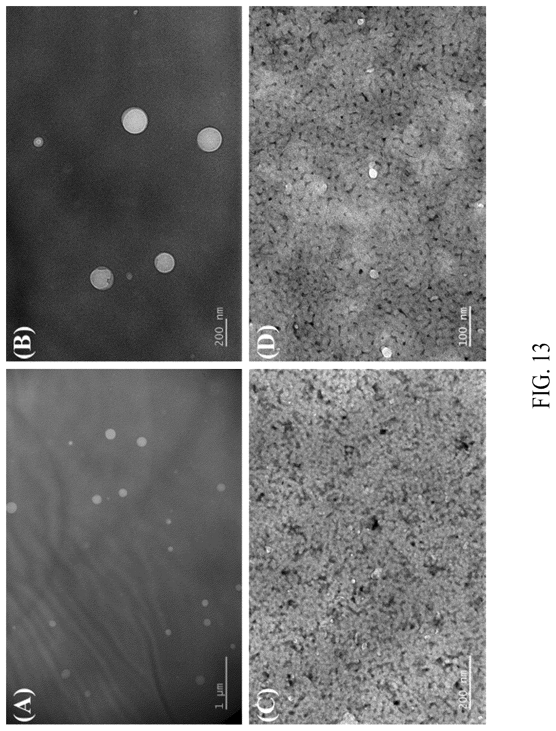 Patent US12552845 Figure 18 – Adhesive elastin and suckerin-based multiblock copolypeptide with stimulus responsiveness and surface adhesion, self-assembled structure thereof, and application of injectable hydrogel as bioadhesive