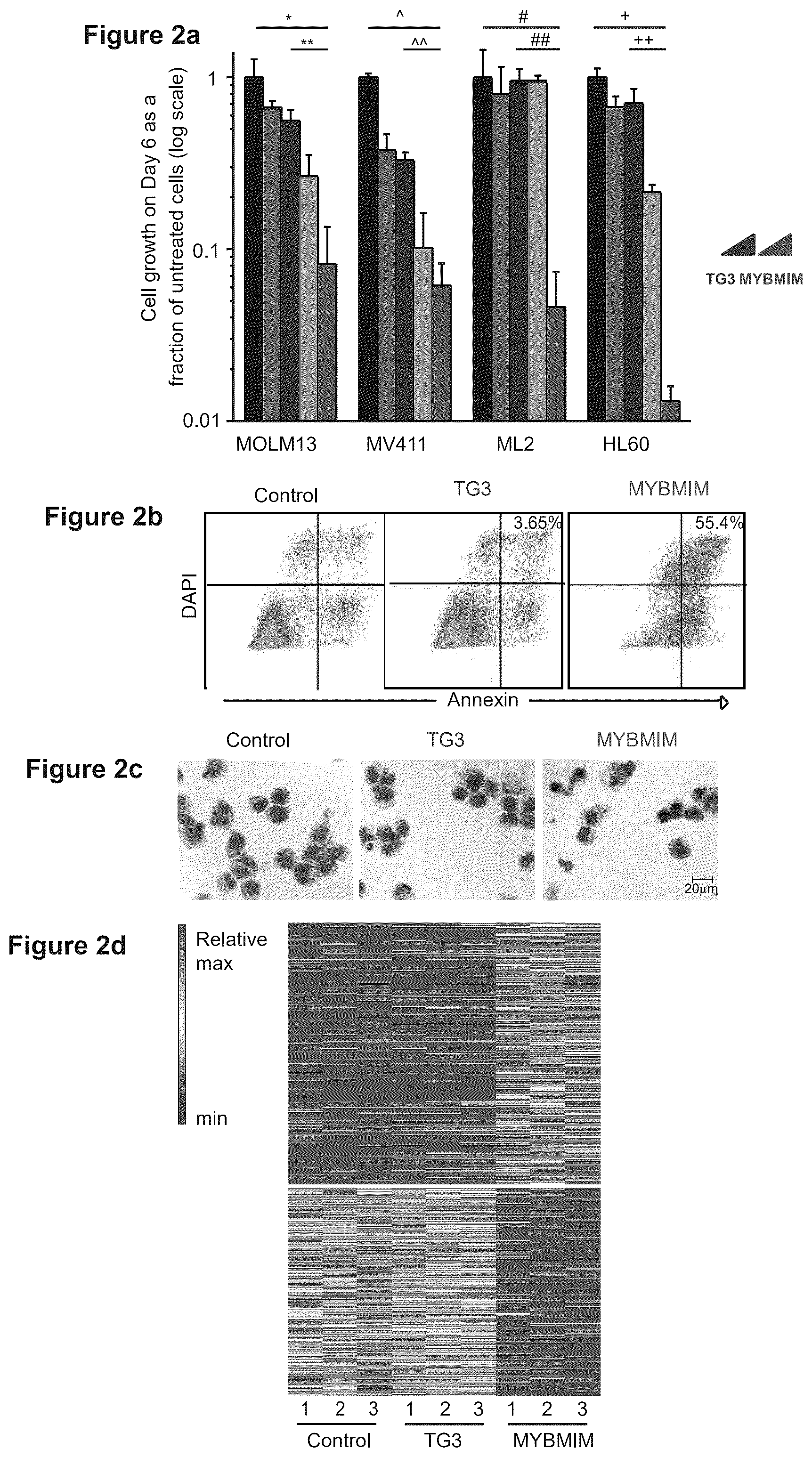 Patent US12552847 Figure 2 – Agents and methods for treating CBP-dependent cancers