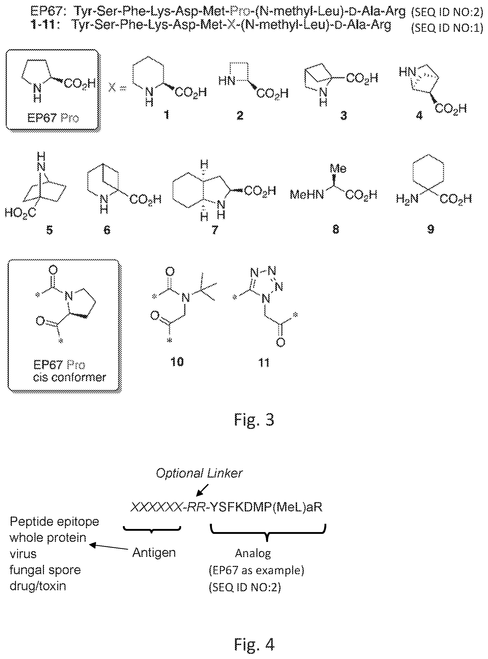 Patent US12552848 Figure 2 – Hydrochloride salts of C5a receptor agonist peptides