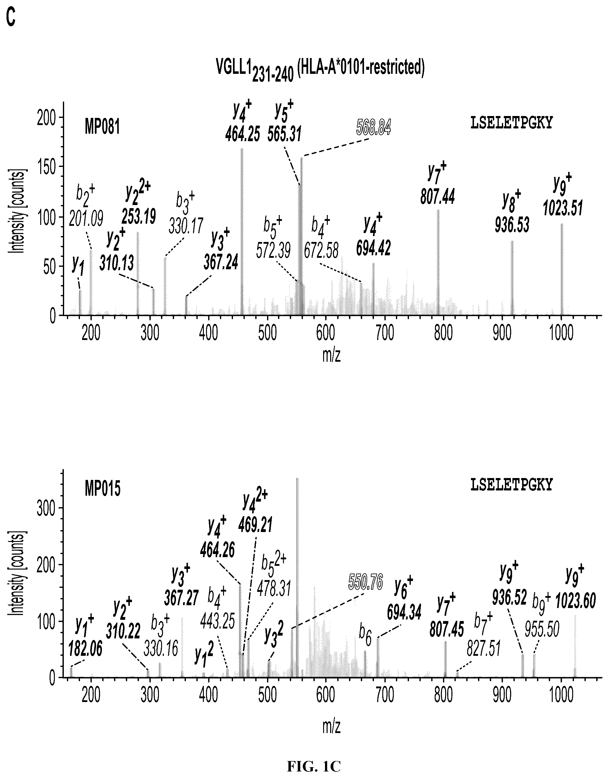 Patent US12552851 Figure 3 – T cell receptors with VGLL1 specificity and uses thereof