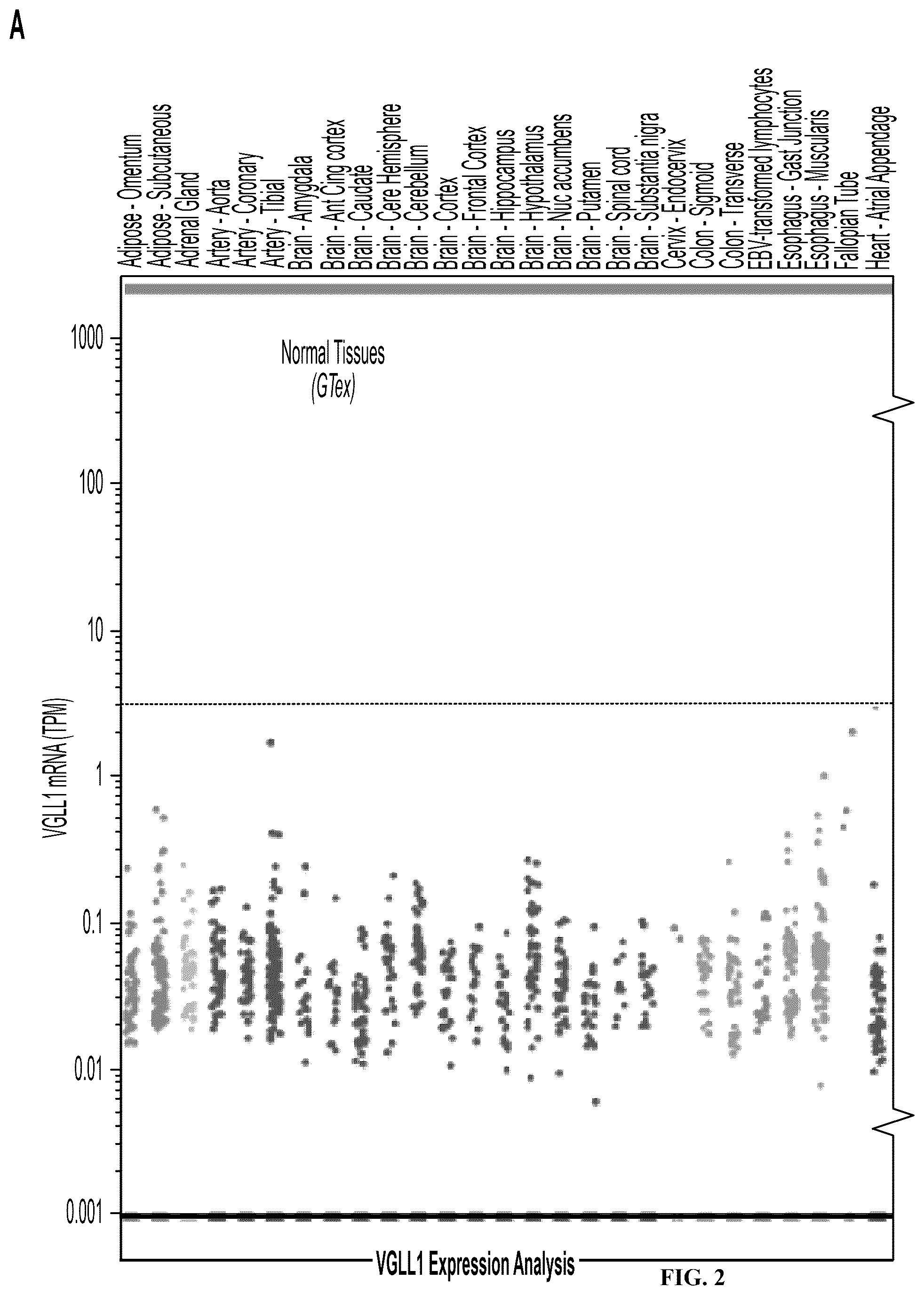 Patent US12552851 Figure 5 – T cell receptors with VGLL1 specificity and uses thereof