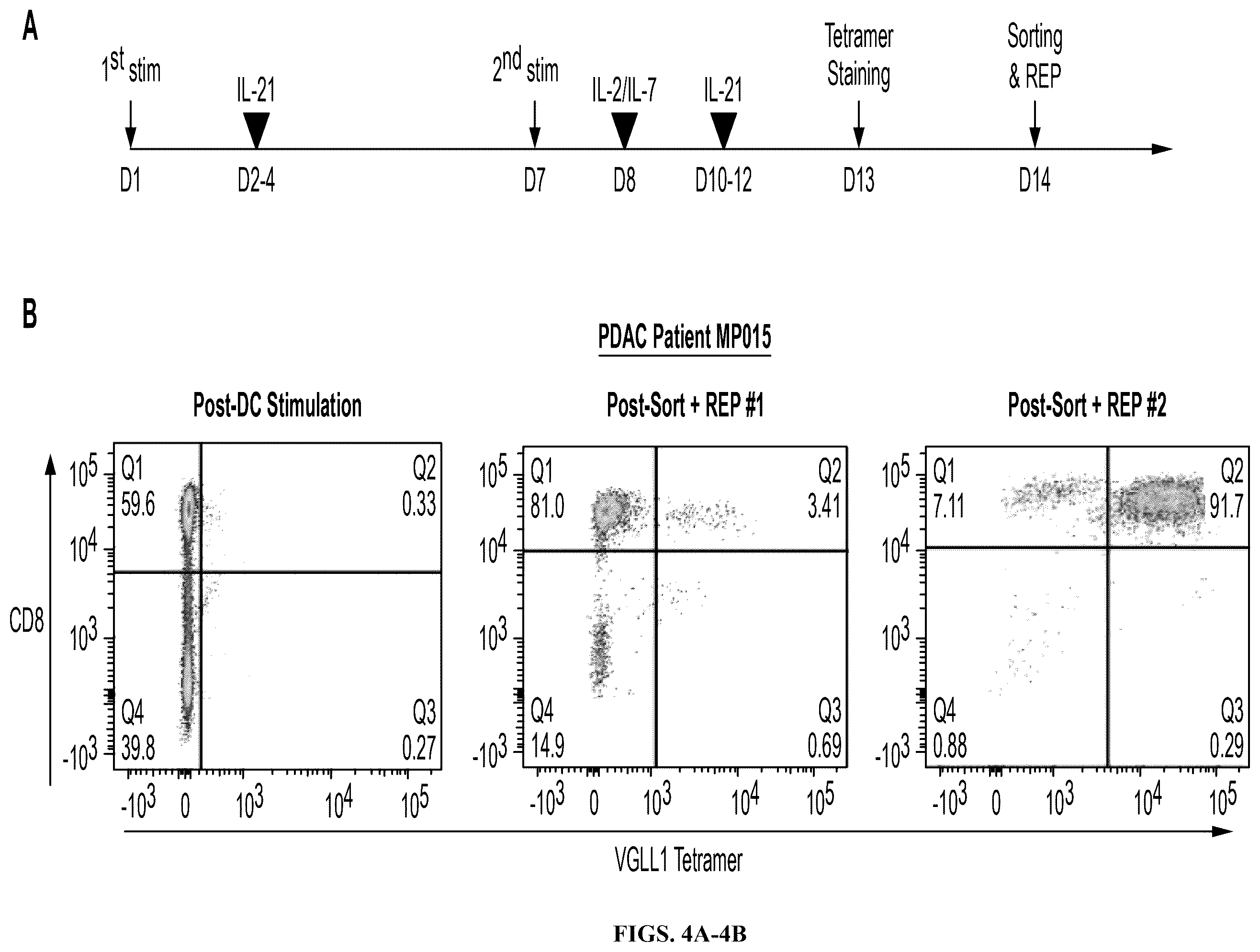 Patent US12552851 Figure 9 – T cell receptors with VGLL1 specificity and uses thereof