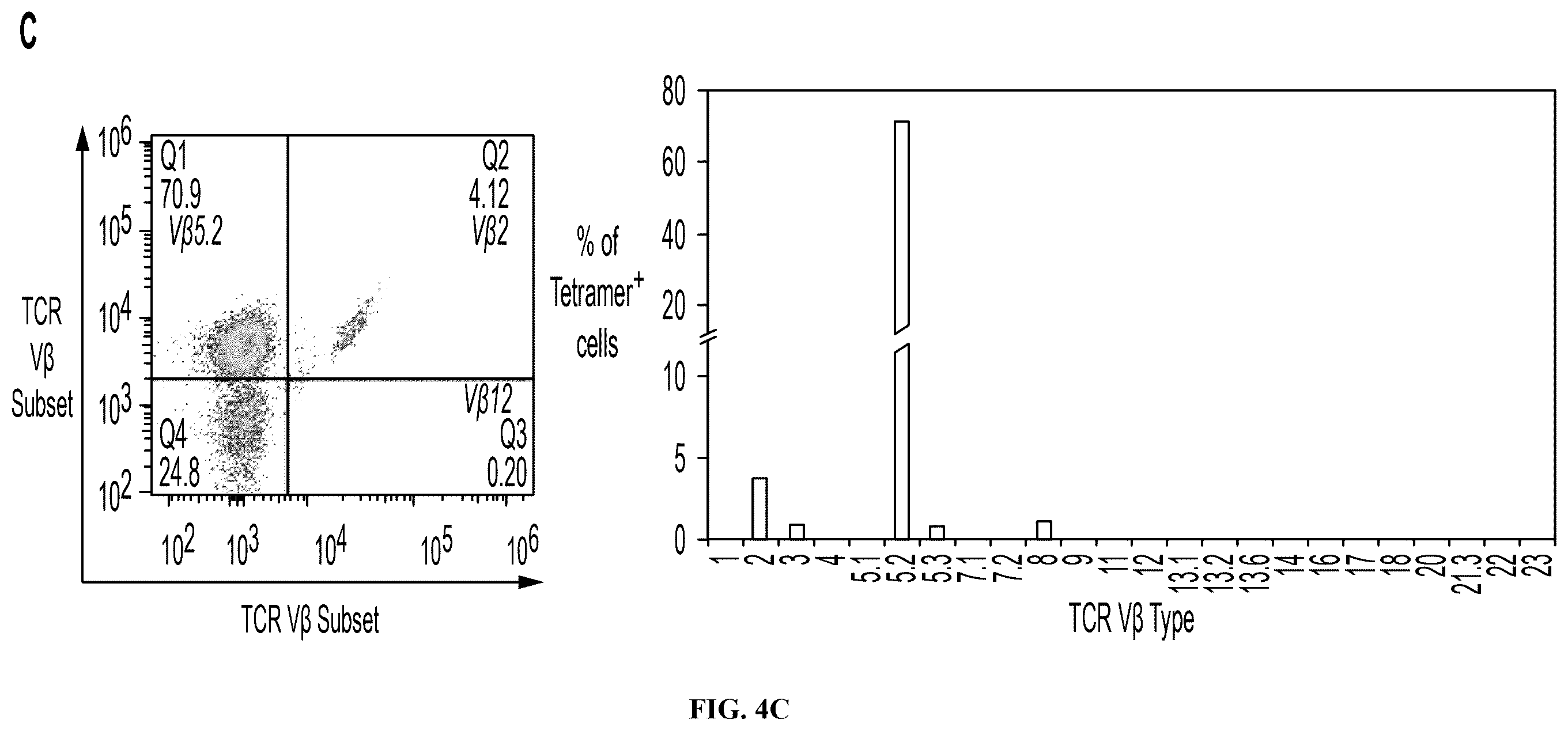 Patent US12552851 Figure 10 – T cell receptors with VGLL1 specificity and uses thereof