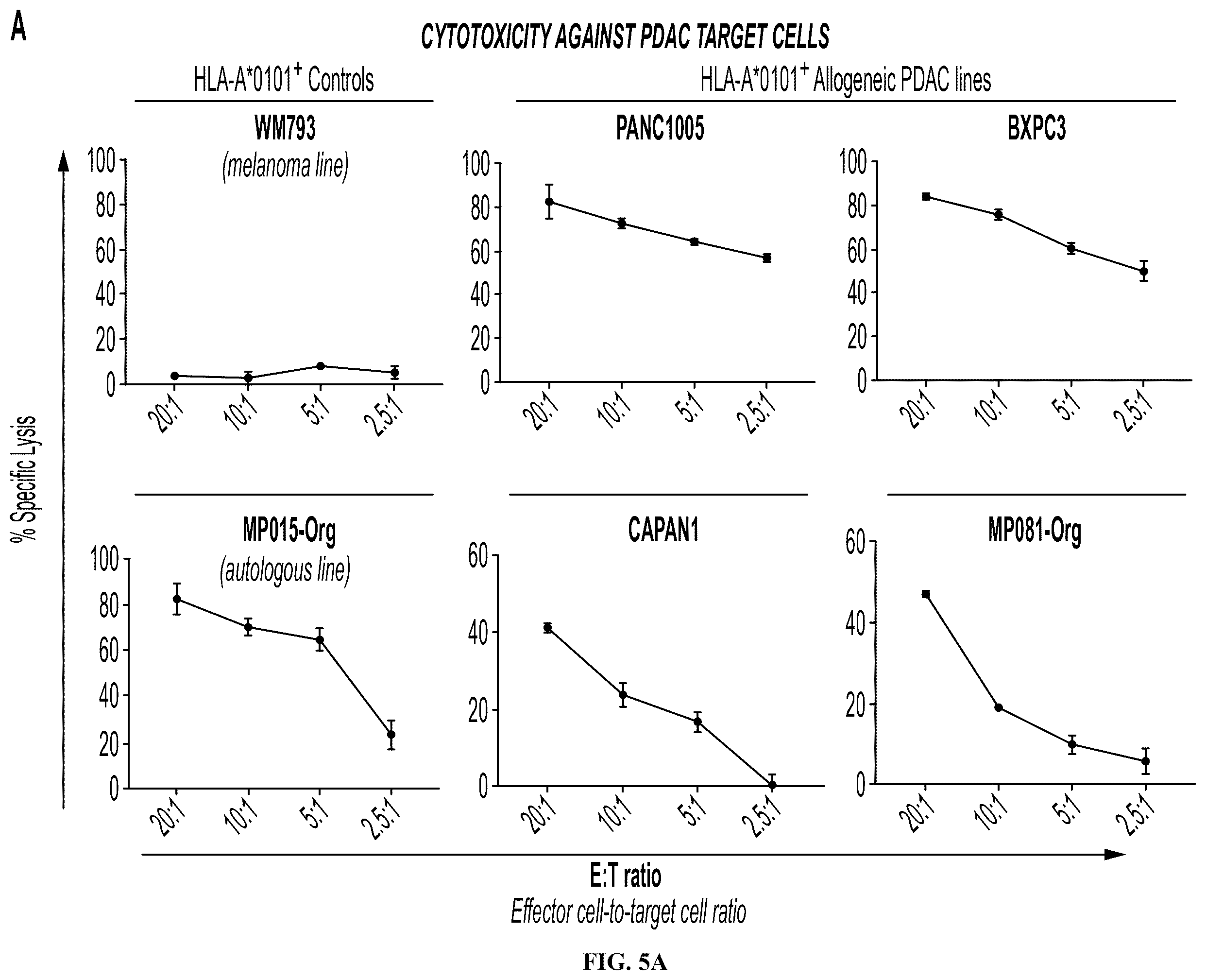 Patent US12552851 Figure 12 – T cell receptors with VGLL1 specificity and uses thereof
