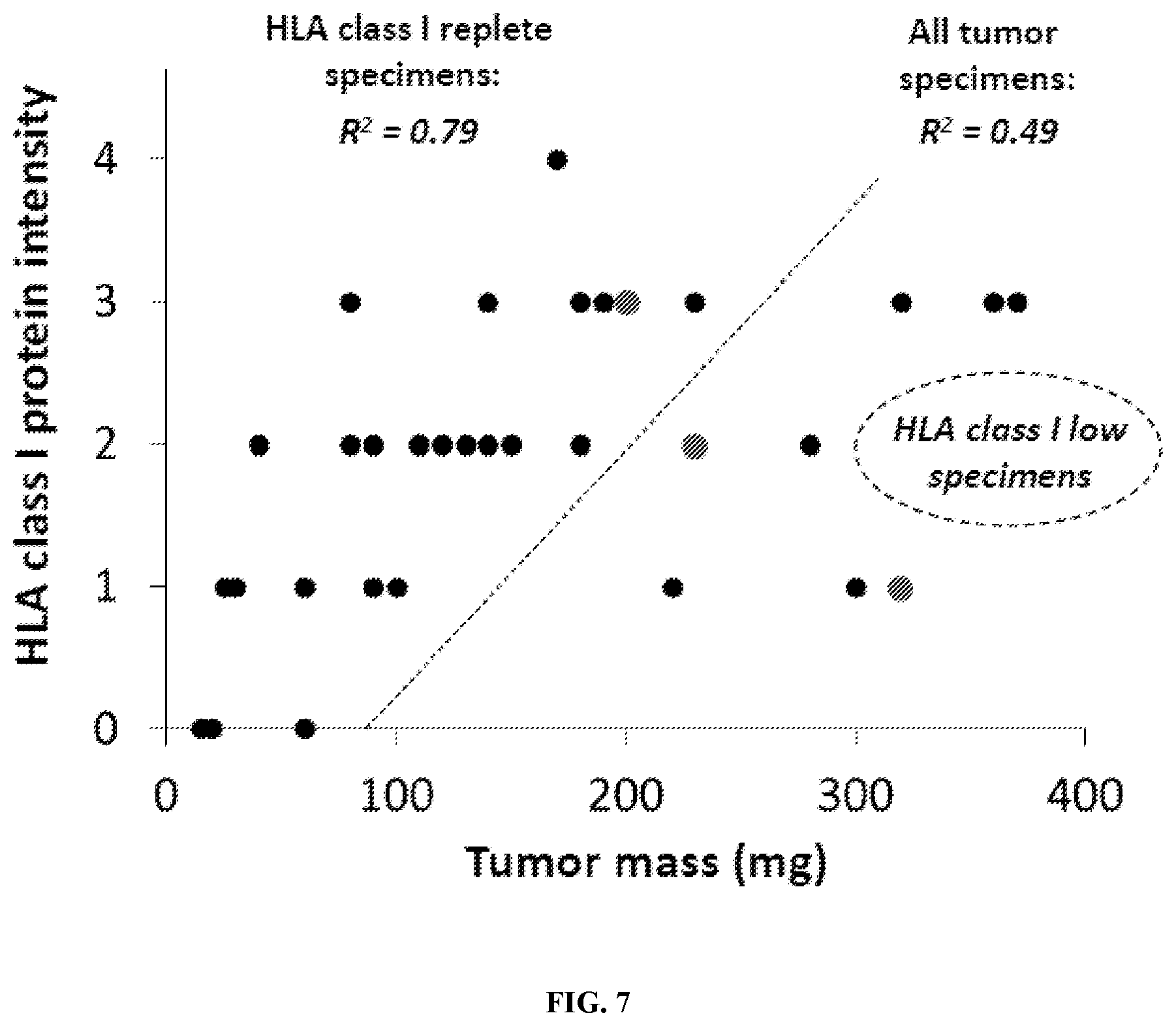 Patent US12552851 Figure 18 – T cell receptors with VGLL1 specificity and uses thereof