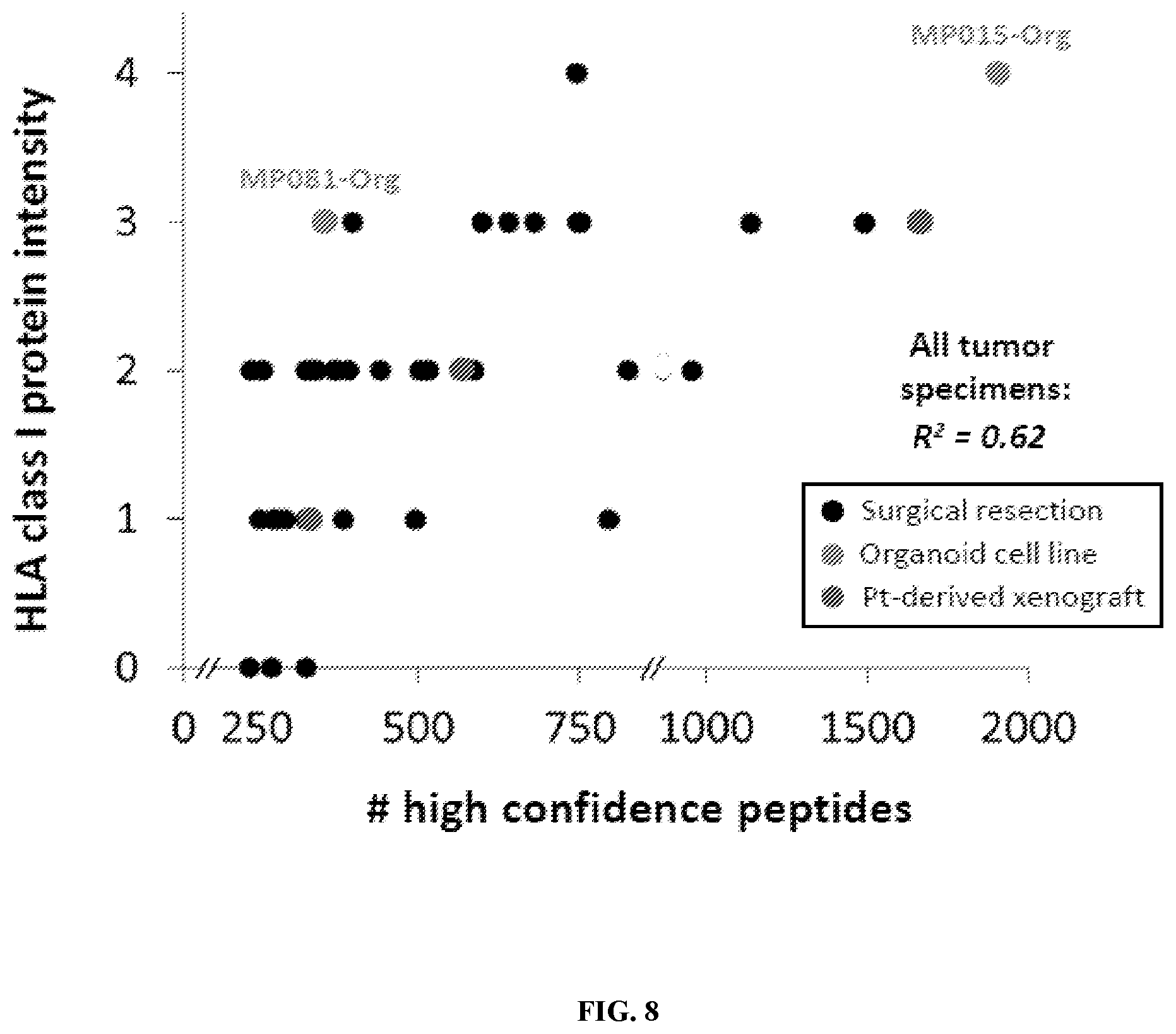Patent US12552851 Figure 19 – T cell receptors with VGLL1 specificity and uses thereof