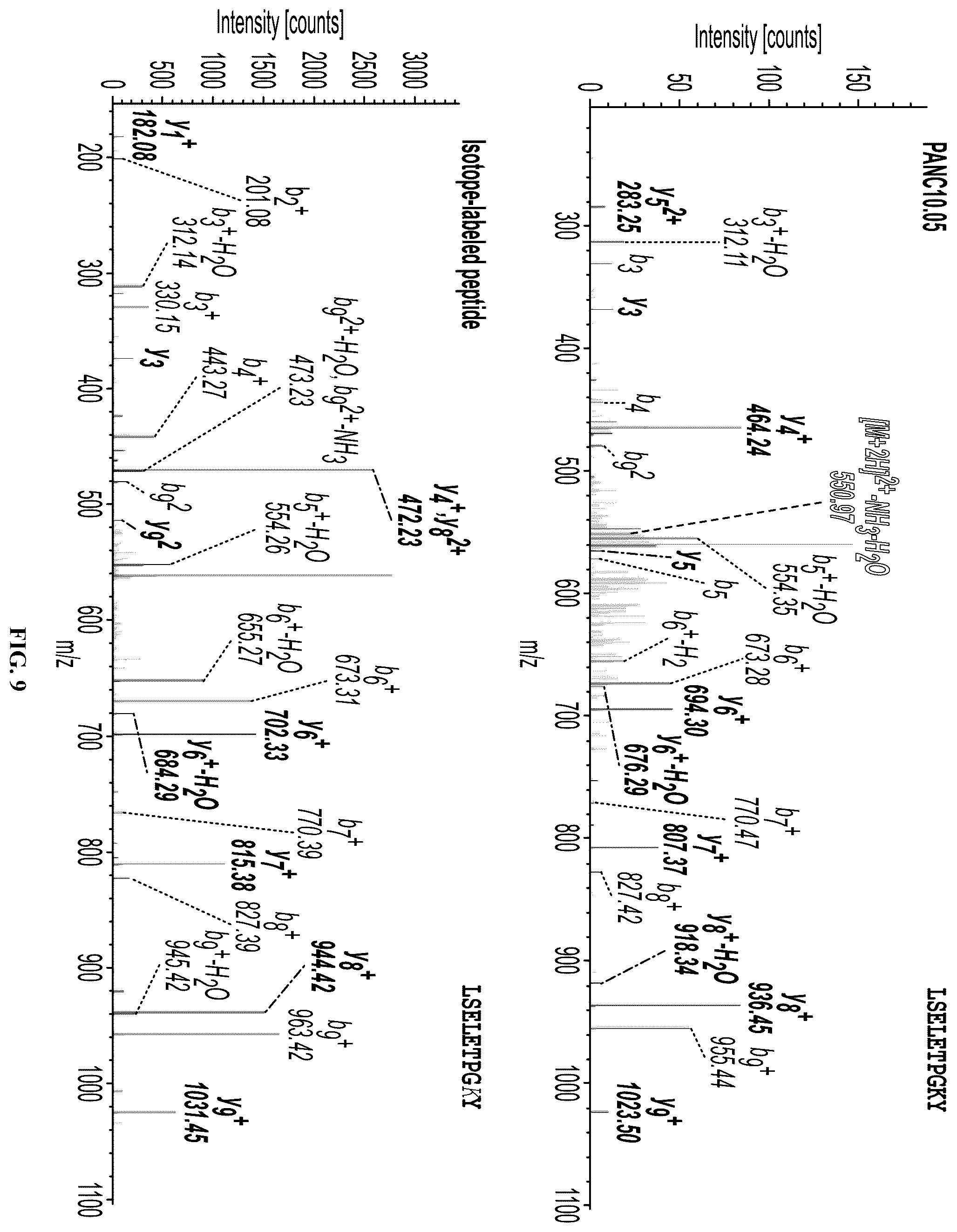Patent US12552851 Figure 20 – T cell receptors with VGLL1 specificity and uses thereof