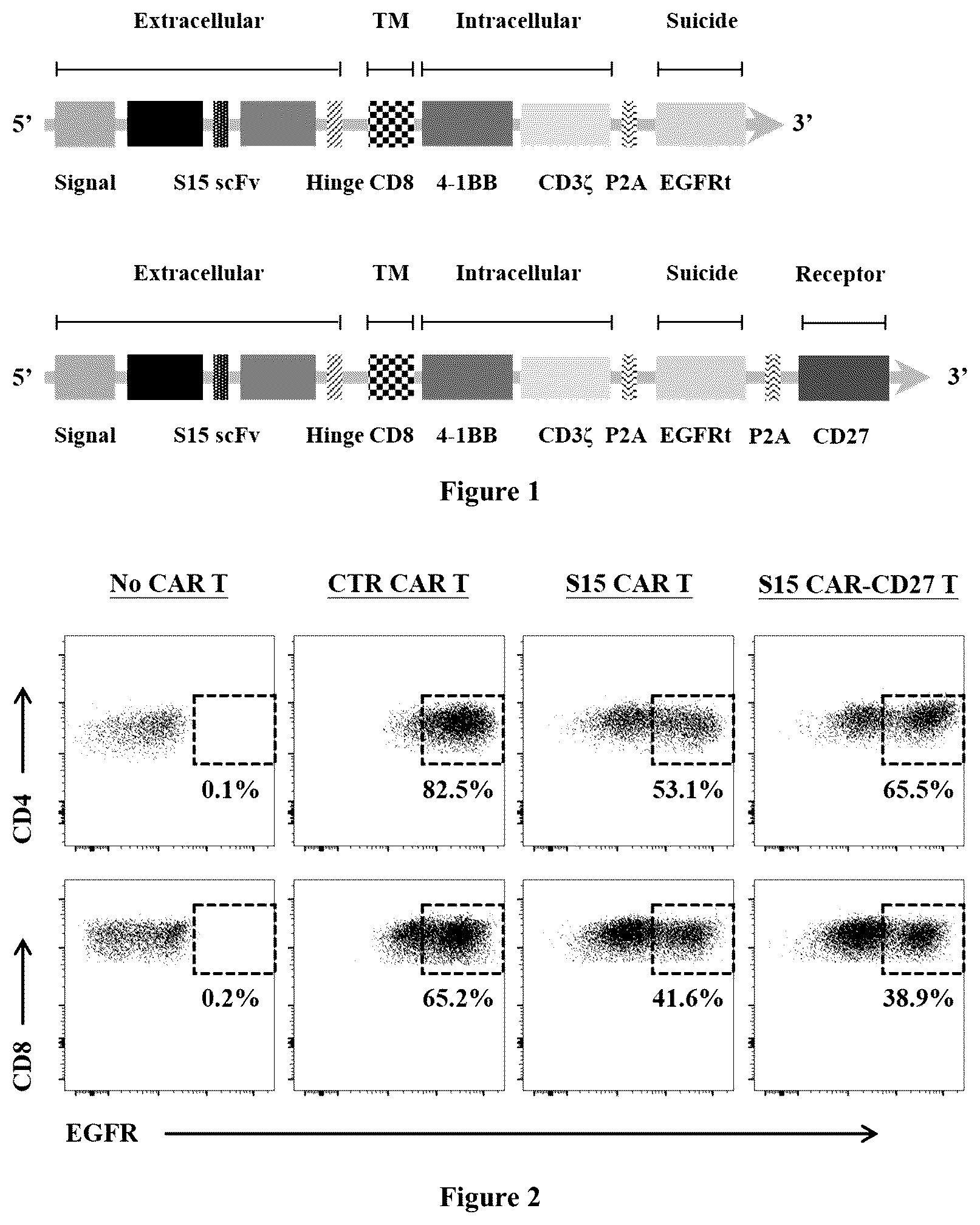 Patent US12552852 Figure 1 – Chimeric antigen receptor t lymphocyte for treating tumors, preparation method therefor, and use thereof