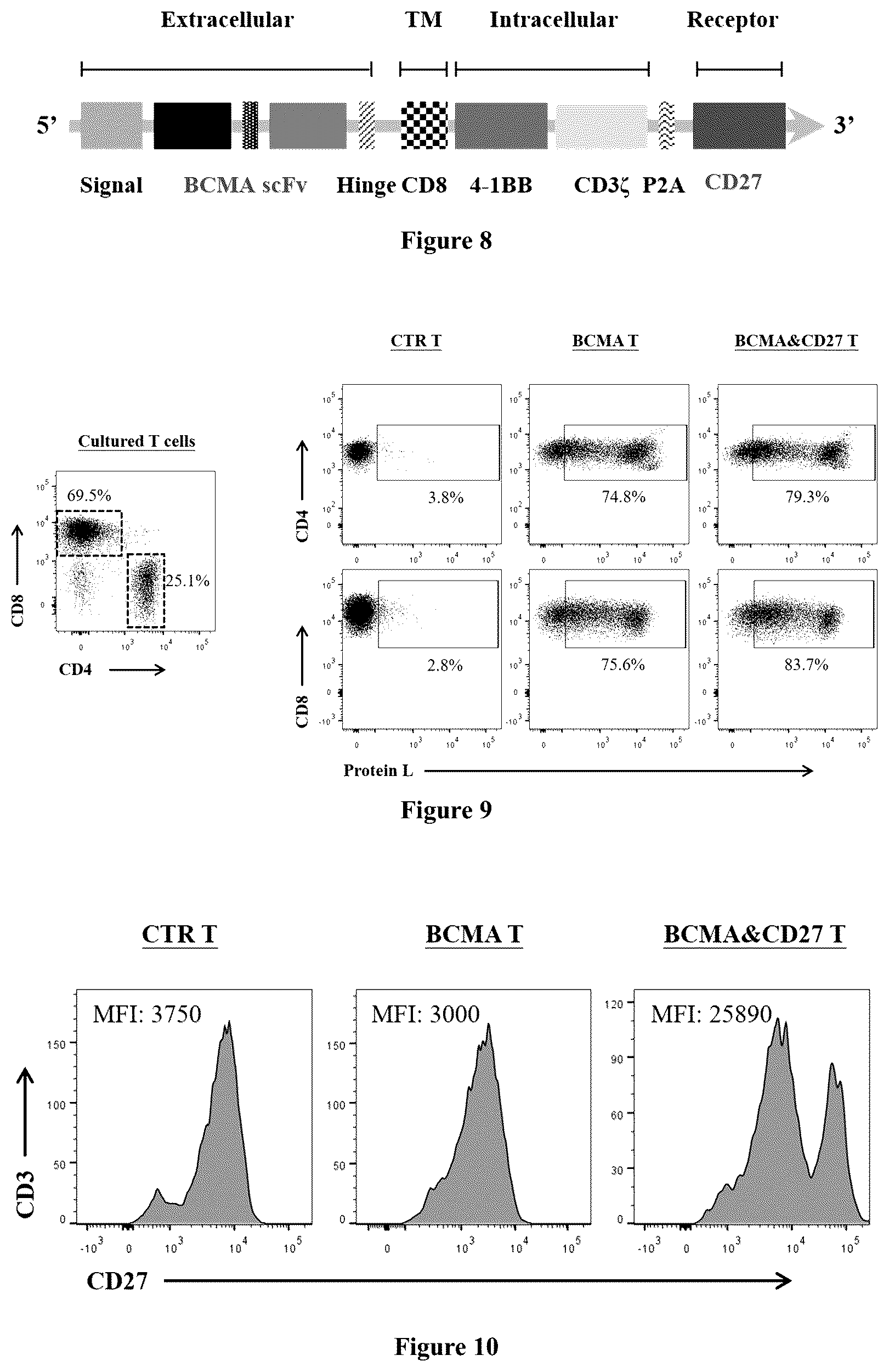 Patent US12552852 Figure 4 – Chimeric antigen receptor t lymphocyte for treating tumors, preparation method therefor, and use thereof